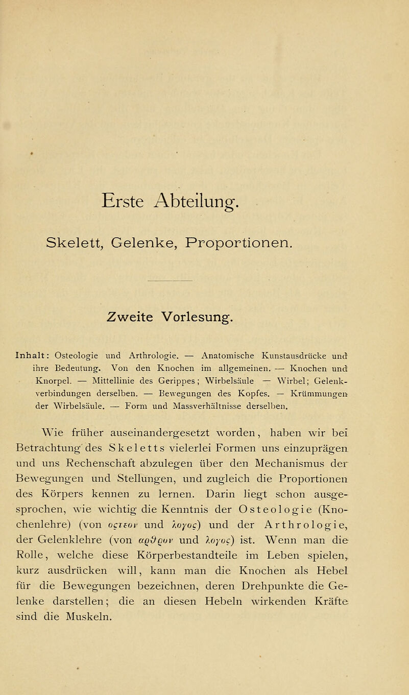 Erste Abteilung. Skelett, Gelenke, Proportionen. Zweite Vorlesung. Inhalt: Osteologie und Arthrologie. — Anatomische Kunstausdrücke und ihre Bedeutung. Von den Knochen im allgemeinen. — Knochen und Knorpel. — Mittellinie des Gerippes; Wirbelsäule — Wirbel; Gelenk- verbindungen derselben. — Bewegungen des Kopfes. — Krümmungen der Wirbelsäule. — Form und Massverhältnisse derselben. Wie früher auseinandergesetzt worden, haben wir bei Betrachtung des Skeletts vielerlei Formen uns einzuprägen und uns Rechenschaft abzulegen über den Mechanismus der Bewegungen und Stellungen, und zugleich die Proportionen des Körpers kennen zu lernen. Darin liegt schon ausge- sprochen, wie wichtig die Kenntnis der Osteologie (Kno- chenlehre) (von octsov und loyog) und der Arthrologie, der Gelenklehre (von aq&qov und Xoyog) ist. Wenn man die Rolle, welche diese Körperbestandteile im Leben spielen,, kurz ausdrücken will, kann man die Knochen als Hebel für die Bewegungen bezeichnen, deren Drehpunkte die Ge- lenke darstellen; die an diesen Hebeln wirkenden Kräfte sind die Muskeln.