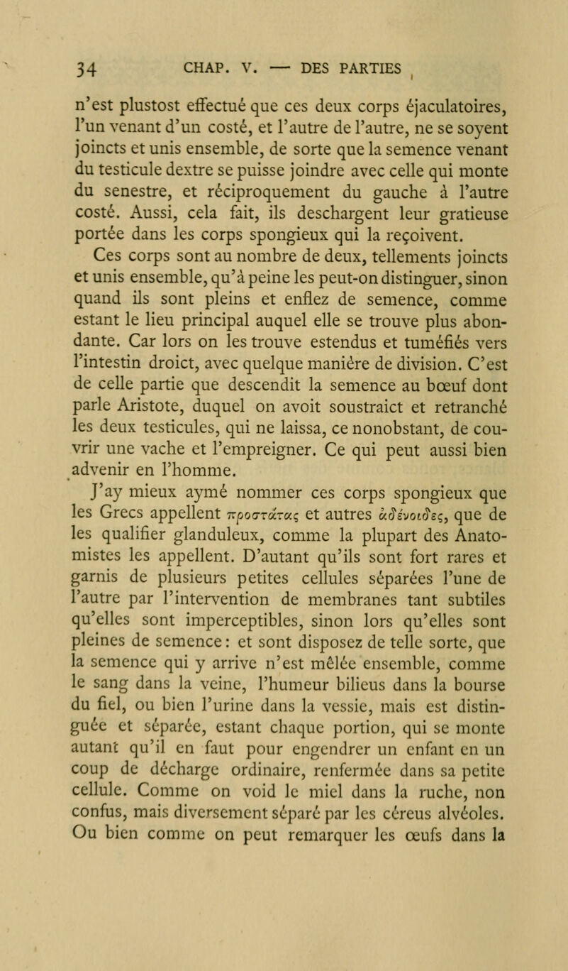 n'est plustost effectué que ces deux corps éjaculatoires, l'un venant d'un costé, et l'autre de l'autre, ne se soyent joincts et unis ensemble, de sorte que la semence venant du testicule dextre se puisse joindre avec celle qui monte du senestre, et réciproquement du gauche à l'autre costé. Aussi, cela fait, ils deschargent leur gratieuse portée dans les corps spongieux qui la reçoivent. Ces corps sont au nombre de deux, tellements joincts et unis ensemble, qu'à peine les peut-on distinguer, sinon quand ils sont pleins et enflez de semence, comme estant le lieu principal auquel elle se trouve plus abon- dante. Car lors on les trouve estendus et tuméfiés vers l'intestin droict, avec quelque manière de division. C'est de celle partie que descendit la semence au bœuf dont parle Aristote, duquel on avoit soustraict et retranché les deux testicules, qui ne laissa, ce nonobstant, de cou- vrir une vache et l'empreigner. Ce qui peut aussi bien advenir en l'homme. J'ay mieux aymé nommer ces corps spongieux que les Grecs appellent irpodrocruç et autres à^évoi^eq^ que de les qualifier glanduleux, comme la plupart des Anato- mistes les appellent. D'autant qu'ils sont fort rares et garnis de plusieurs petites cellules séparées l'une de l'autre par rinter\'ention de membranes tant subtiles qu'elles sont imperceptibles, sinon lors qu'elles sont pleines de semence : et sont disposez de telle sorte, que la semence qui y arrive n'est mêlée ensemble, comme le sang dans la veine, l'humeur bilieus dans la bourse du fiel, ou bien l'urine dans la vessie, mais est distin- guée et séparée, estant chaque portion, qui se monte autant qu'il en faut pour engendrer un enfant en un coup de décharge ordinaire, renfermée dans sa petite cellule. Comme on void le miel dans la ruche, non confus, mais diversement séparé par les céreus alvéoles. Ou bien comme on peut remarquer les œufs dans la