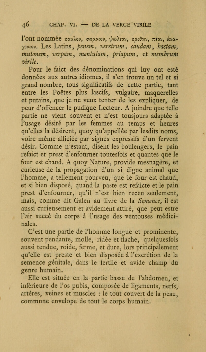 l'ont nommée xau^ov, aapivtov, ^ûlsov, y,pi6rjVf TTf'ov, «y«- yvjto'j. Les Latins, penem, veretriim, caudam, hastam, mutonem, verpam, mentulam, priapum, et memhrum virile. Pour le faict des dénominations qui luy ont esté données aux autres idiomes, il s'en trouve un tel et si grand nombre, tous significatifs de cette partie, tant entre les Poètes plus lascifs, vulgaire, maquerelles et putains, que je ne veux tenter de les expliquer, de peur d'offencer le pudique Lecteur. A joindre que telle partie ne vient souvent et n'est tousjours adaptée à l'usage désiré par les femmes au temps et heures qu'elles la désirent, quoy qu'appellée par lesdits noms, voire même alliciée par signes expressifs d'un fervent désir. Comme n'estant, disent les boulengers, le pain refaict et prest d'enfourner toutesfois et quantes que le four est chaud. A quoy Nature, provide mesnagére, et curieuse de la propagation d'un si digne animal que l'homme, a tellement pourveu, que le four est chaud, et si bien disposé, quand la paste est refaicte et le pain prest d'enfourner, qu'il n'est bien receu seulement, mais, comme dit Galen au livre de la Semence, il est aussi curieusement et avidement attiré, que peut estre l'air succé du corps à l'usage des ventouses médici- nales. C'est une partie de l'homme longue et prominente, souvent pendante, molle, ridée et flache, quelquesfois aussi tendue, roide, ferme, et dure, lors principalement qu'elle est preste et bien disposée à l'excrétion de la semence génitale, dans le fertile et avide champ du genre humain. Elle est située en la partie basse de l'abdomen, et inférieure de l'os pubis, composée de ligaments, nerfs, artères, veines et muscles : le tout couvert de la peau, commune envelope de tout le corps humain.