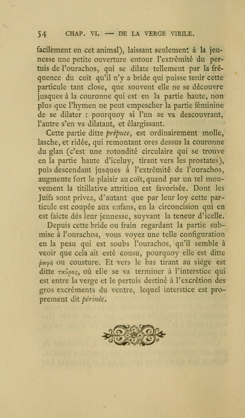 facilement en cet animal), laissant seulement à la jeu- nesse une petite ouverture entour l'extrémité du per- tuis de Tourachos, qui se dilate tellement par la fré- quence du coït qu'il n'y a bride qui puisse tenir cette particule tant close, que souvent elle ne se découvre jusques à la couronne qui est en la partie haute, non plus que l'hymen ne peut empescher la partie féminine de se dilater : pourquoy si l'un se va descouvrant, l'autre s'en va dilatant, et élargissant. Cette partie ditte prépuce, est ordinairement molle, lasche, et ridée, qui remontant ores dessus la couronne du glan (c'est une rotondité circulaire qui se trouve en la partie haute d'icelu}, tirant vers les prostates), puis descendant jusques à l'extrémité de l'ourachos, augmente fort le plaisir au coït, quand par un tel mou- vement la titillative attrition est favorisée. Dont les Juifs sont privez, d'autant que par leur loy cette par- ticule est coupée aux enfans, en la circoncision qui en est faicte dés leur jeunesse, suyvant la teneur d'icelle. Depuis cette bride ou frain regardant la partie sub- mise à l'ourachos, vous voyez une telle configuration en la peau qui est soubs l'ourachos, qu'il semble à veoir que cela ait esté cousu, pourquoy elle est ditte pcf.'ff} ou cousture. Et vers le bas tirant au siège est ditte T«v^(5o;, où elle se va terminer à l'interstice qui est entre la verge et le pertuis destiné à l'excrétion des gros excréments du ventre, lequel interstice est pro- prement dit périnée.