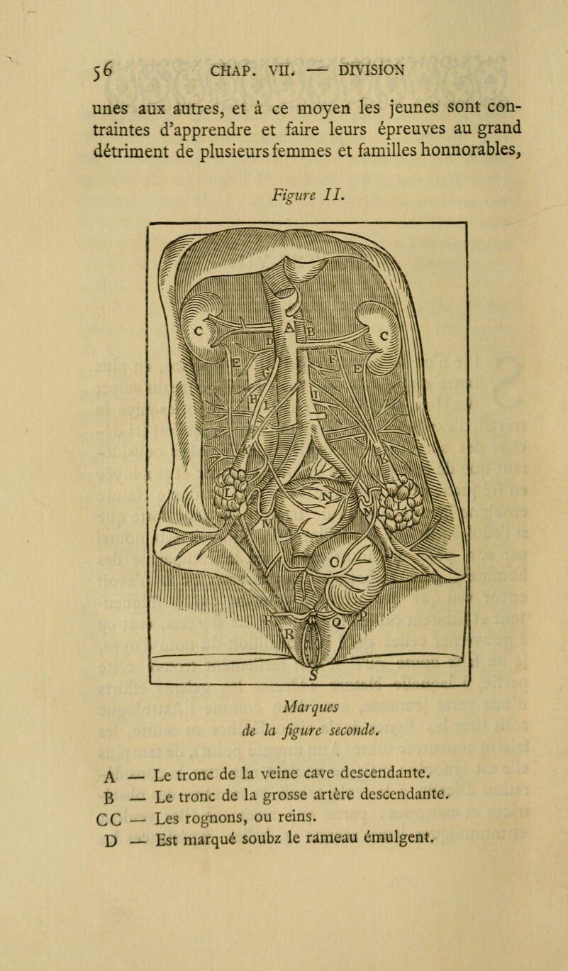unes aux autres, et à ce moyen les jeunes sont con- traintes d'apprendre et faire leurs épreuves au grand détriment de plusieurs femmes et familles honnorableSj Figure II. Marques de la figure seconde. p^ Le tronc de la veine cave descendante. B Le tronc de la grosse artère descendante. ce — Les rognons, ou reins. D — Est marqué soubz le rameau émulgent.