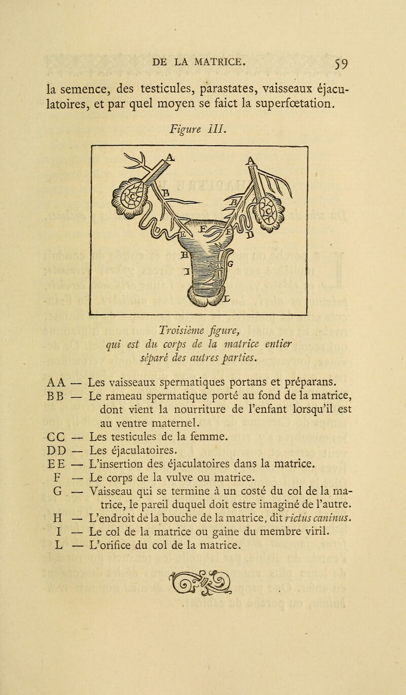 la semence, des testicules, parastates, vaisseaux éjacu- latoires, et par quel moyen se faict la superfœtation. Figure III. AA BB ce DD EE F G H I L Troisième figure, qui est du corps de la matrice entier séparé des autres parties. Les vaisseaux spermatiques portans et préparans. Le rameau spermatique porté au fond de la matrice, dont vient la nourriture de l'enfant lorsqu'il est au ventre maternel. Les testicules de la femme. Les éjaculatoires. L'insertion des éjaculatoires dans la matrice. Le corps de la vulve ou matrice. Vaisseau qui se termine à un costé du col de la ma- trice, le pareil duquel doit estre imaginé de l'autre. L'endroit de la bouche de la matrice, dit rictus caninus. Le col de la matrice ou gaine du membre viril. L'orifice du col de la matrice.