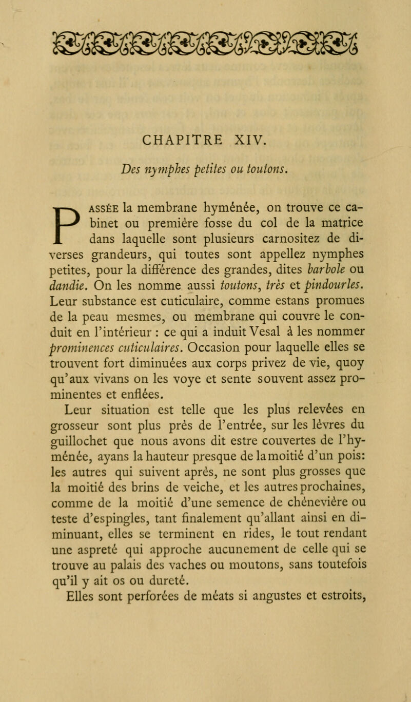 CHAPITRE XIV. Des nymphes petites ou tout on s. PASSÉE la membrane hyménée, on trouve ce ca- binet ou première fosse du col de la matrice dans laquelle sont plusieurs carnositez de di- verses grandeurs, qui toutes sont appeliez nymphes petites, pour la différence des grandes, dites barhole ou dandie. On les nomme aussi toutons, très et pindourles. Leur substance est cuticulaire, comme estans promues de la peau mesmes, ou membrane qui couvre le con- duit en l'intérieur : ce qui a induit Vesal à les nommer prominences cnticidaires. Occasion pour laquelle elles se trouvent fort diminuées aux corps privez de vie, quoy qu'aux vivans on les voye et sente souvent assez pro- minentes et enflées. Leur situation est telle que les plus relevées en grosseur sont plus près de l'entrée, sur les lèvres du guillochet que nous avons dit estre couvertes de l'hy- ménée, ayans la hauteur presque de la moitié d'un pois: les autres qui suivent après, ne sont plus grosses que la moitié des brins de veiche, et les autres prochaines, comme de la moitié d'une semence de chènevière ou teste d'espingles, tant finalement qu'allant ainsi en di- minuant, elles se terminent en rides, le tout rendant une aspreté qui approche aucunement de celle qui se trouve au palais des vaches ou moutons, sans toutefois qu'il y ait os ou dureté. Elles sont perforées de méats si angustes et estroits,