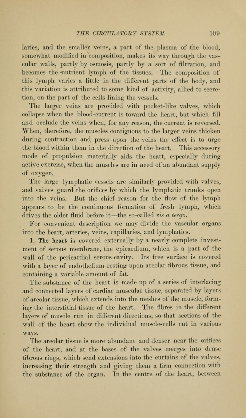 laries, and the smaller veins, a part of the plasma of the blood, somewhat modified in composition, makes its way through the vas- cular walls, partly by osmosis, partly by a sort of filtration, and becomes the -nutrient lymph of the tissues. The composition of this lymph varies a little in the different parts of the body, and this variation is attributed to some kind of activity, allied to secre- tion, on the part of the cells lining the vessels. The larger veins are provided with pocket-like valves, which collapse when the blood-current is toward the heart, but which fill and occlude the veins when, for any reason, the current is reversed. When, therefore, the muscles contiguous to the larger veins thicken during contraction and press upon the veins the effect is to urge the blood within them in the direction of the heart. This accessory mode of propulsion materially aids the heart, especially during active exercise, when the muscles are in need of an abundant suj)})ly of oxygen. The large lymphatic vessels are similarly provided with valves, and valves guard the orifices by which the lymphatic trunks open into the veins. But the chief reason for the flow of the lymph apj^ears to be the continuous formation of fresh lymph, which drives the older fluid before it—the so-called vis a tergo. For convenient description we may divide the vascular organs into the heart, arteries, veins, capillaries, and lymphatics. 1. The heart is covered externally by a nearly complete invest- ment of serous membrane, the epicardium, which is a part of the wall of the pericardial serous cavity. Its free surface is covered with a layer of endothelium resting upon areolar fibrous tissue, and containing: a variable amount of fat. The substance of the heart is made up of a series of interlacing and connected layers of cardiac muscular tissue, separated by layers of areolar tissue, which extends into the meshes of the muscle, form- ing the interstitial tissue of the heart. The fibres in the different layers of muscle run in different directions, so that sections of the wall of the heart show the individual muscle-cells cut in various ways. The areolar tissue is more abundant and denser near the orifices of the heart, and at the bases of the valves merges into dense fibrous rings, which send extensions into the curtains of the valves, increasing their strength and giving them a firm connection with the substance of the orran. In the centre of the heart, between