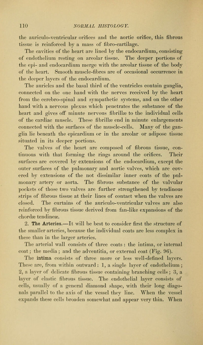 the auriculo-ventricular orifices and the aortic orifice, this fibrous tissue is reinforced by a mass of fibro-cartilage. The cavities of the heart are lined by the endocardium, consisting of endothelium resting on areolar tissue. The deeper portions of the epi- and endocardium merge with the areolar tissue of the body of the heart. Smooth muscle-fibres are of occasional occurrence in the deeper layers of the endocardium. The auricles and the basal third of the ventricles contain ganglia, connected on the one hand with the nerves received by the heart from the cerebro-spinal and sympathetic systems, and on the other hand with a nervous plexus which penetrates the substance of the heart and gives off minute nervous fibrillee to the individual cells of the cardiac muscle. These fibrillse end in minute enlargements connected with the surfaces of the muscle-cells. Many of the gan- glia lie beneath the epicardium or in the areolar or adipose tissue situated in its deeper portions. The valves of the heart are composed of fibrous tissue, con- tinuous with that forming the rings around the orifices. Their surfaces are covered by extensions of the endocardium, except the outer surfaces of the pulmonary and aortic valves, which are cov- ered by extensions of the not dissimilar inner coats of the pul- monary artery or aorta. The fibrous substance of the valvular pockets of those two valves are further strengthened by tendinous strips of fibrous tissue at their lines of contact when the valves are closed. The curtains of the auriculo-ventricular valves are also reinforced by fibrous tissue derived from fan-like expansions of the chordse tendinese. 2. The Arteries.—It will l)e best to consider first the structure of the smaller arteries, because the individual coats are less complex in these than in the larger arteries. The arterial wall consists of three coats : the intima, or internal coat; the media; and the adventitia, or external coat (Fig. 96). The intima consists of three more or less well-defined layers. These are, from within outward : 1, a single layer of endothelium; 2, a layer of delicate fibrous tissue containing branching cells; 3, a layer of elastic fibrous tissue. The endothelial layer consists of cells, usually of a general diamond shape, with their long diago- nals parallel to the axis of the vessel they line. When the vessel expands these cells broaden somewhat and appear very thin. When