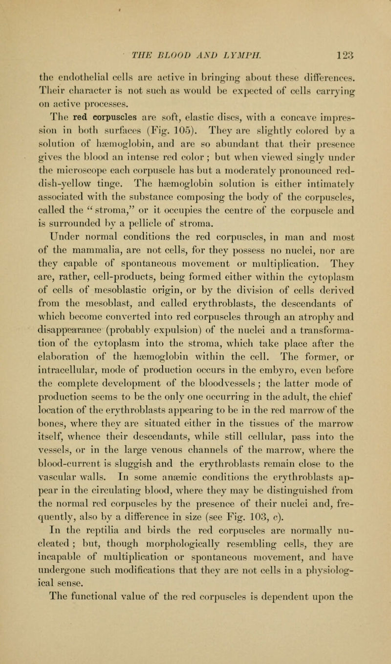 the onclothcHal cells arc active in briiij^in^ about these differences. Their character is not su(;h as would be expected of cells carrying on active processes. The red corpuscles are soft, elastic discs, with a concave imjircs- sion in both surl'aces (Fig. 105). They are slightly colored by a solution of ha'inoglobiu, and are so abundant that their presence gives the blood an intense red color; but when viewed singly under the microscope each (;orpuscle has but a moderately pronounced hkI- dish-yellow tinge. The haemoglobin solution is either intimately associated with the substance composing the body of the corpuscles, called the  stroma, or it occupies the centre of the corpuscle and is surrounded by a pellicle of stroma. Under normal conditions the red corpuscles, in man and most of the mammalia, are not cells, for they possess no nuclei, nor are they capable of sj)ontaneous movement or multiplication. They are, rather, cell-products, being formed either within the cytoplasm of cells of mesoblastic origin, or by the division of cells derived from the mesoblast, and called erythroblasts, the descendants of which become converted into red corpuscles through an atrophy and disappoamnce (probably expulsion) of the nuclei and a transforma- tion of the cytoplasm into the stroma, which take place after the elaboration of the haemoglobin within the cell. The former, or intracellular, mode of production occurs in the embyro, even before the complete development of the bloodvessels; the latter mode of production seems to be the only one occurring in the adult, the chief location of the erythroblasts appearing to be in the red marrow of the bones, where they are situated either in the tissues of the marrow itself, whence their descendants, while still cellular, pass into the vessels, or in the large venous channels of the marrow, where the blood-current is sluggish and the erythroblasts remain close to the vascular walls. In some antemic conditions the erythroblasts ap- pear in the circulating blood, where they may be distinguished from the normal red corpuscles by the presence of their nuclei and, fre- quently, also by a difference in size (see Fig. 103, c). In the reptilia and birds the red corj>uscles are normally nu- cleated ; but, though morphologically resembling cells, they are incapable of multiplication or spontaneous movement, and have undergone such modifications that they arc not cells in a physiolog- ical sense. The functional value of the red corpuscles is dependent upon the