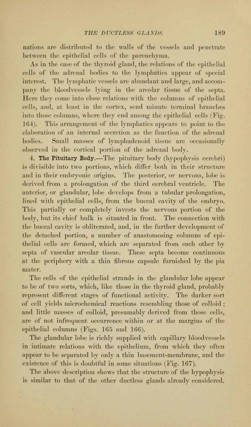 nations arc distributed to the wails of tiie vessels and penetrate between the epithelial cells of the parenchyma. As in the ease of the thyroi<l gland, the relations of the epithelial cells of the adrenal bodies to the lynij)hatics apj)ear of special interest. The lymphatic vessels are abundant and large, and accom- pany the bl(Jodvessels lying in the areolar tissue of the septa. Here they come into close relations with the columns of epithelial cells, and, at least in the cortex, send minute terminal branches into those columns, where they end among the epithelial cells (Fig. 104). This arrangement of the lym})hatics appears to point to tlx; elaboration of an internal secretion as the function of the adrenal bodies. Small masses of lymphadenoid tissue are occasionally observed in the cortical [)ortion of the adrenal bodv. 4. The Pituitary Body.—The pituitary body (hypophysis cerebri) is divisible into two portions, which differ both in their structure and in their eml)ryonic origins. The posterior, or nervous, lobe is derived from a prolongation of the third cerebral ventricle. The anterior, or glandular, lobe develops from a tubular prolongation, lined with epithelial cells, from the buccal cavity of the embryo. This partially or completely invests the nervous portion of the body, but its chief bulk is situated in front. The connection with the buccal cavity is obliterated, and, in the further development of the detached ])ortion, a number of anastomosing columns of epi- thelial cells are formed, which are separated from each other by septa of vascular areolar tissue. These septa become continuous at the periphery with a thin fibrous capsule furnished by the pia mater. The cells of the epithelial strands in the glandular lobe appear to be of two sorts, which, like those in the thyroid gland, probably represent different stages of functional activity. The darker sort of cell yields microchemical reactions resembling those of colloid ; and little masses of colloid, presumably derived from those cells, are of not infre([ucnt occurrence within or at the margins of the epithelial columns (Figs. 165 and 166). The glandular lobe is richly supplied with capillary bloodvessels in intimate relations with the epithelium, from which they often appear to be separated by only a thin basement-membrane, and the existence of this is doubtful in some situations (Fig. 167). The above description shows that the structure of the hypophysis is similar to that of the other ductless glands alreadv considered.