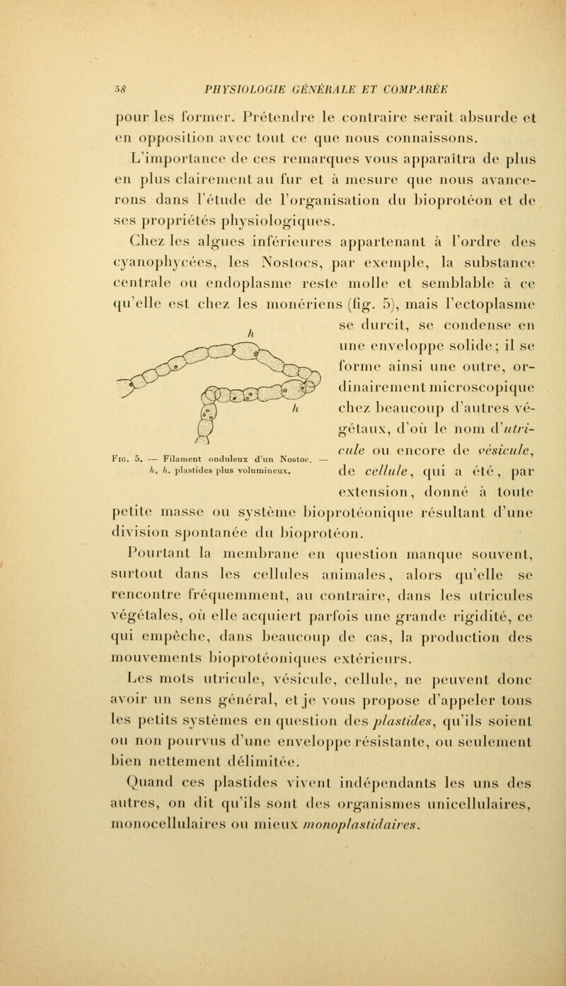 pour les former. Prétendre le contraire serait absurde et en opposition avec tout ce que nous connaissons. L'importance de ces remarques vous apparaîtra de plus en plus clairement au fur et à mesure que nous avance- rons dans l'étude de l'organisation du bioprotéon et de ses propriétés physiologiques. Chez les algues inférieures appartenant à Tordre des eyanophycées, les Nostocs, par exemple, la substance centrale ou endoplasme reste molle et semblable à ce qu'elle est chez les monériens (fig. 5), mais l'ectoplasme se durcit, se condense en une enveloppe solide; il se forme ainsi une outre, or- dinairement microscopique chez beaucoup d'autres vé- gétaux, d'où le nom d'utri- cule ou encore de vésicule, de cellule, qui a été, par extension, donné à toute petite masse ou système bioprotéonique résultant d'une division spontanée du bioprotéon. Pourtant la membrane en question manque souvent, surtout dans les cellules animales, alors qu'elle se rencontre fréquemment, au contraire, dans les utricules végétales, où elle acquiert parfois une grande rigidité, ce qui empêche, dans beaucoup de cas, la production des mouvements bioprotéoniques extérieurs. Les mots utricule, vésicule, cellule, ne peuvent donc avoir un sens général, et je vous propose d'appeler tous les petits systèmes en question des plastides, qu'ils soient ou non pourvus d'une enveloppe résistante, ou seulement bien nettement délimitée. Quand ces plastides vivent indépendants les uns des autres, on dit qu'ils sont des organismes unicellulaires, monocellulaires ou mieux monoplastidaires. Vie. 5. — Filament onduleux d'un Nostoc. h, li. plastides plus volumineux.