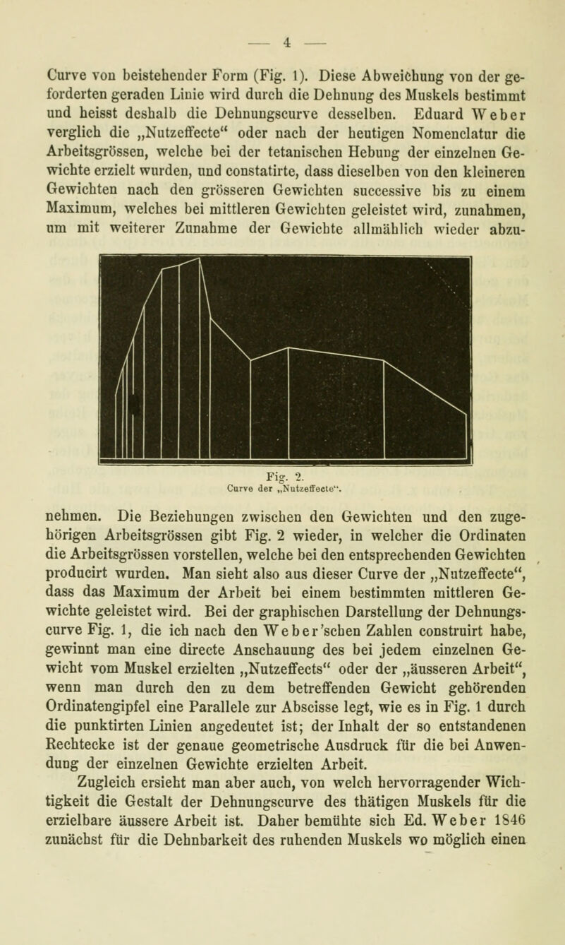Curve von beistehender Form (Fig. 1). Diese Abweichung von der ge- forderten geraden Linie wird durch die Dehnung des Muskels bestimmt und heisst deshalb die Dehnungscurve desselben. Eduard Weber verglich die „Nutzeffecte oder nach der heutigen Nomenclatur die Arbeitsgrössen, welche bei der tetanischen Hebung der einzelnen Ge- wichte erzielt wurden, und constatirte, dass dieselben von den kleineren Gewichten nach den grösseren Gewichten successive bis zu einem Maximum, welches bei mittleren Gewichten geleistet wird, zunahmen, um mit weiterer Zunahme der Gewichte allmählich wieder abzu- Fig. 2. Curve der „Nutzeffecte. nehmen. Die Beziehungen zwischen den Gewichten und den zuge- hörigen Arbeitsgrössen gibt Fig. 2 wieder, in welcher die Ordinaten die Arbeitsgrössen vorstellen, welche bei den entsprechenden Gewichten producirt wurden. Man sieht also aus dieser Curve der „Nutzeffecte, dass das Maximum der Arbeit bei einem bestimmten mittleren Ge- wichte geleistet wird. Bei der graphischen Darstellung der Dehnungs- curve Fig. 1, die ich nach den Web er'sehen Zahlen construirt habe, gewinnt man eine directe Anschauung des bei jedem einzelnen Ge- wicht vom Muskel erzielten „Nutzeffects oder der „äusseren Arbeit, wenn man durch den zu dem betreffenden Gewicht gehörenden Ordinatengipfel eine Parallele zur Abscisse legt, wie es in Fig. 1 durch die punktirten Linien angedeutet ist; der Inhalt der so entstandenen Rechtecke ist der genaue geometrische Ausdruck für die bei Anwen- dung der einzelnen Gewichte erzielten Arbeit. Zugleich ersieht man aber auch, von welch hervorragender Wich- tigkeit die Gestalt der Dehnungscurve des thätigen Muskels für die erzielbare äussere Arbeit ist. Daher bemühte sich Ed. Weber 1S46 zunächst für die Dehnbarkeit des ruhenden Muskels wo möglich eineu