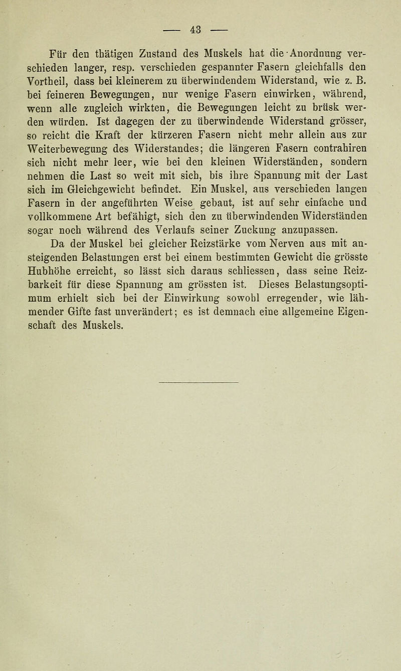 Für den thätigen Zustand des Muskels hat die Anordnung ver- schieden langer, resp. verschieden gespannter Fasern gleichfalls den Vortheil, dass bei kleinerem zu überwindendem Widerstand, wie z. B. bei feineren Bewegungen, nur wenige Fasern einwirken, während, wenn alle zugleich wirkten, die Bewegungen leicht zu brüsk wer- den würden. Ist dagegen der zu überwindende Widerstand grösser, so reicht die Kraft der kürzeren Fasern nicht mehr allein aus zur Weiterbewegung des Widerstandes; die längeren Fasern contrahiren sich nicht mehr leer, wie bei den kleinen Widerständen, sondern nehmen die Last so weit mit sich, bis ihre Spannung mit der Last sich im Gleichgewicht befindet. Ein Muskel, aus verschieden langen Fasern in der angeführten Weise gebaut, ist auf sehr einfache und vollkommene Art befähigt, sich den zu überwindenden Widerständen sogar noch während des Verlaufs seiner Zuckung anzupassen. Da der Muskel bei gleicher Reizstärke vom Nerven aus mit an- steigenden Belastungen erst bei einem bestimmten Gewicht die grösste Hubhöhe erreicht, so lässt sich daraus schliessen, dass seine Reiz- barkeit für diese Spannung am grössten ist. Dieses Belastungsopti- mum erhielt sich bei der Einwirkung sowohl erregender, wie läh- mender Gifte fast unverändert; es ist demnach eine allgemeine Eigen- schaft des Muskels.
