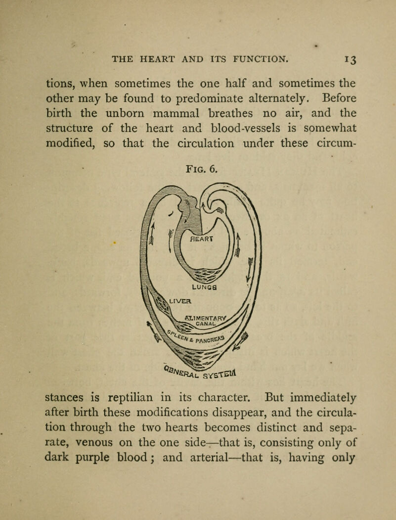 tions, when sometimes the one half and sometimes the other may be found to predominate alternately. Before birth the unborn mammal breathes no air, and the structure of the heart and blood-vessels is somewhat modified, so that the circulation under these circum- FiG. 6. ^'^^e^^^STEWi Stances is reptilian in its character. But immediately after birth these modifications disappear, and the circula- tion through the two hearts becomes distinct and sepa- rate, venous on the one side—that is, consisting only of dark purple blood; and arterial—that is, having only