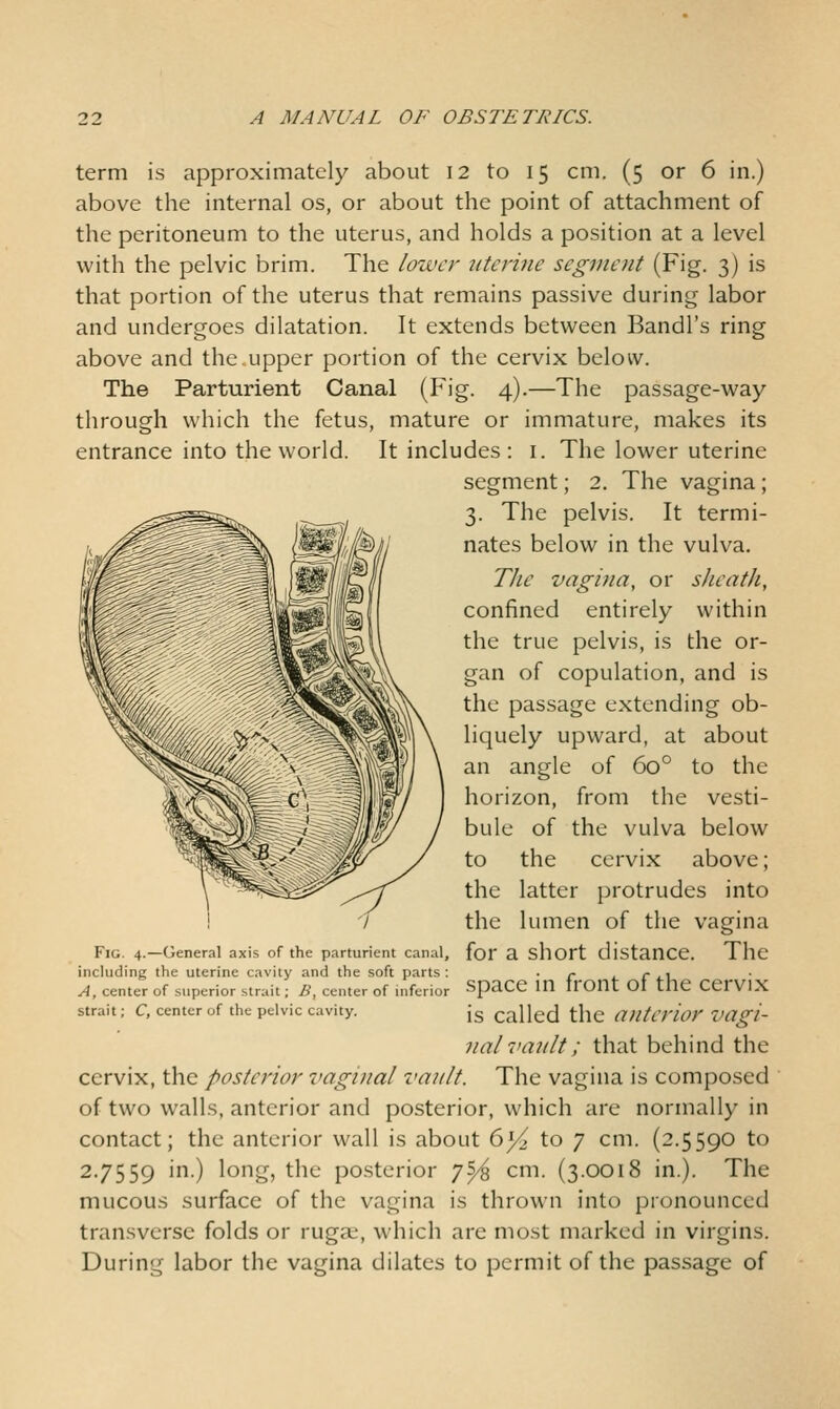 term is approximately about 12 to 15 cm. (5 or 6 in.) above the internal os, or about the point of attachment of the peritoneum to the uterus, and holds a position at a level with the pelvic brim. The lower uterine segment (Fig. 3) is that portion of the uterus that remains passive during labor and undergoes dilatation. It extends between Bandl's ring above and the.upper portion of the cervix below. The Parturient Canal (Fig. 4).—The passage-way- through which the fetus, mature or immature, makes its entrance into the world. It includes: i. The lower uterine segment; 2. The vagina; 3. The pelvis. It termi- nates below in the vulva. TJic vagina, or sJicath, confined entirely within the true pelvis, is the or- gan of copulation, and is the passage extending ob- liquely upward, at about an angle of 60° to the horizon, from the vesti- bule of the vulva below to the cervix above; the latter protrudes into the lumen of the vagina for a short distance. The space in front of the cervix is called the anterior vagi- nal ininlt; that behind the cervix, the posterior vaginal vault. The vagina is composed of two walls, anterior and posterior, which are normally in contact; the anterior wall is about 6_J^ to 7 cm. (2.5590 to 2.7559 in.) long, the posterior 7^ cm. (3.0018 in.). The mucous surface of the vagina is thrown into pronounced transverse folds or ruga;, which are most marked in virgins. During labor the vagina dilates to permit of the passage of Fig. 4.—General axis of the parturient canal, including the uterine cavity and the soft parts : A, center of superior strait; B, center of inferior strait; C, center of the pelvic cavity.
