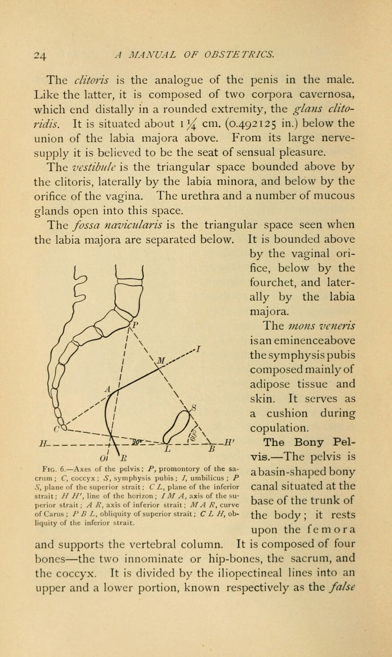 The clitoris is the analogue of the penis in the male. Like the latter, it is composed of two corpora cavernosa, which end distally in a rounded extremity, the glans clito- ridis. It is situated about i^ cm. (0.492125 in.) below the union of the labia majora above. From its large nerve- supply it is believed to be the seat of sensual pleasure. The vestibule is the triangular space bounded above by the clitoris, laterally by the labia minora, and below by the orifice of the vagina. The urethra and a number of mucous glands open into this space. The fossa navicularis is the triangular space seen when the labia majora are separated below. It is bounded above by the vaginal ori- fice, below by the fourchet, and later- ally by the labia majora. The mons veneris isan eminenceabove the symphysis pubis composed mainly of adipose tissue and skin. It serves as a cushion during copulation. The Bony Pel- vis.—The pelvis is a basin-shaped bony canal situated at the base of the trunk of the body; it rests upon the fe m o ra and supports the vertebral column. It is composed of four bones—the two innominate or hip-bones, the sacrum, and the coccyx. It is divided by the iliopectineal lines into an upper and a lower portion, known respectively as the false ^S^-^-W /; B 01 'E Fig. 6.—Axes of the pelvis: P, promontory of the sa- crum; C, coccyx; .S, symphysis pubis; /, umbilicus; P S, plane of the superior strait; C L, plane of the inferior strait; H H', line of the horizon; IM A, axis of the su- perior strait ; A R, axis of inferior strait; MAR, curve of Carus ; P B L, obliquity of superior strait; C L H, ob- liquity of the inferior strait.