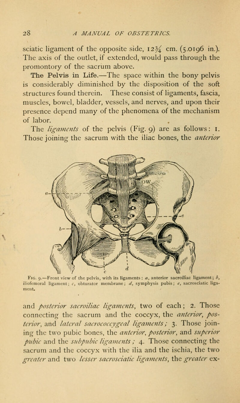 sciatic ligament of the opposite side, 12^ cm. (5.0196 in.). The axis of the outlet, if extended, would pass through the promontory of the sacrum above. The Pelvis in Life.—The space within the bony pelvis is considerably diminished by the disposition of the soft structures found therein. These consist of ligaments, fascia, muscles, bowel, bladder, vessels, and nerves, and upon their presence depend many of the phenomena of the mechanism of labor. The ligaments of the pelvis (Fig. 9) are as follows: i. Those joining the sacrum with the iliac bones, the anterior Fig. 9.—Front view of the pelvis, with its ligaments : a, anterior sacroiliac ligament; b, iliofemoral ligament; c, obturator membrane; d, symphysis pubis; e, sacrosciatic liga- ment. and posterior sacroiliac ligajuents, two of each; 2. Those connecting the sacrum and the coccyx, the anterior, pos- terior, and lateral sacrococcygeal ligaments; 3. Those join- ing the two pubic bones, the anterior, posterior, and superior pubic and the subpubic ligaments ; 4. Those connecting the sacrum and the coccyx with the ilia and the ischia, the two greater and two lesser sacrosciatic ligaments, the greater ex-