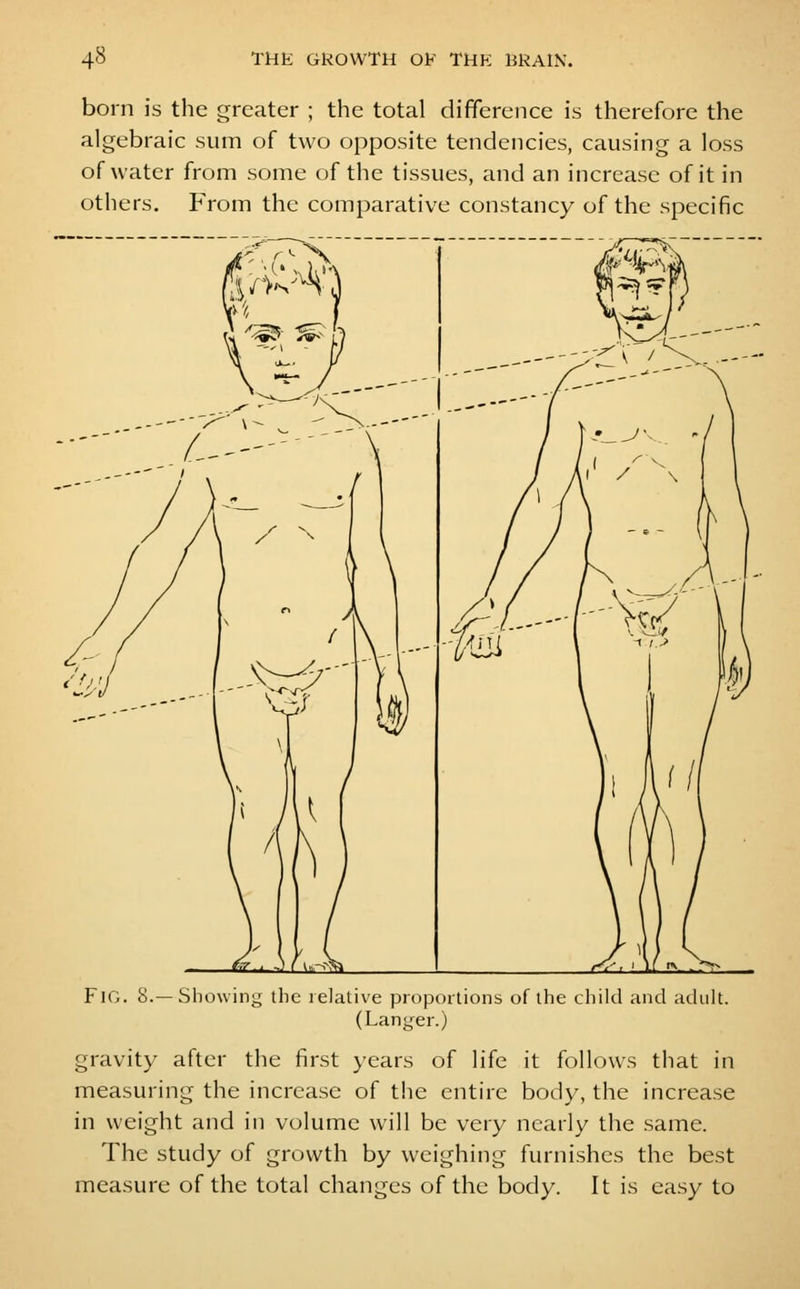 born is the greater ; the total difference is therefore the algebraic sum of two opposite tendencies, causing a loss of water from some of the tissues, and an increase of it in others. From the comparative constancy of the specific FlO. 8.—Showing the relative proportions of the child and adult. (Langer.) gravity after the first years of life it follows that in measuring the increase of the entire body, the increase in weight and in volume will be veiy nearly the same. The study of growth by weighing furnishes the best measure of the total changes of the body. It is easy to
