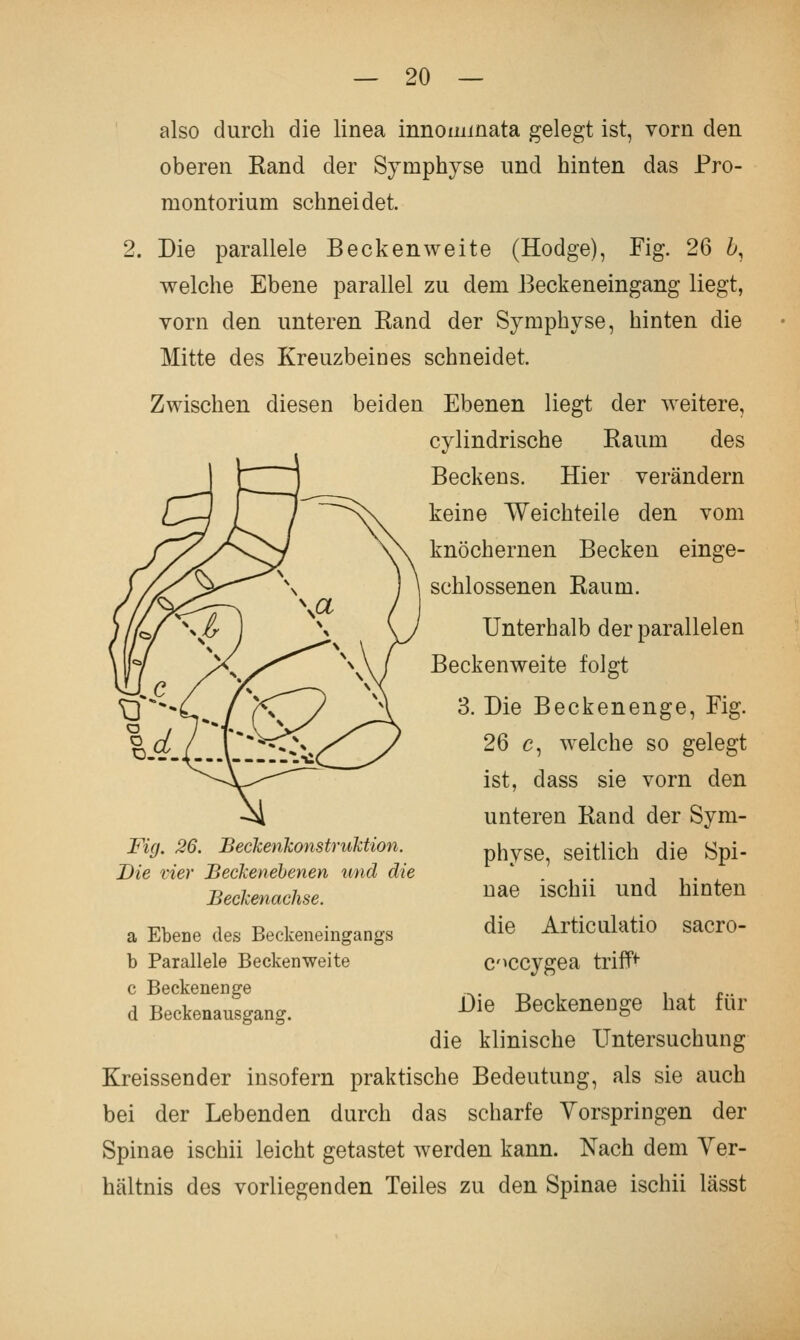 also durch die linea innominata gelegt ist, vorn den oberen Kand der Symphyse und hinten das Pro- montorium schneidet. 2. Die parallele Beckenweite (Hodge), Fig. 26 h, welche Ebene parallel zu dem Beckeneingang liegt, vorn den unteren Rand der Symphyse, hinten die Mitte des Kreuzbeines schneidet. Zwischen diesen beiden Ebenen liegt der weitere, cylindrische Raum des Beckens. Hier verändern keine Weichteile den vom knöchernen Becken einge- schlossenen Raum. Unterhalb der parallelen Beckenweite folgt 3. Die Beckenenge, Fig. 26 c, welche so gelegt ist, dass sie vorn den unteren Rand der Sym- physe, seitlich die Spi- nae ischii und hinten die Articulatio sacro- C'^ccygea trifft Die Beckenenge hat für die klinische Untersuchung Kreissender insofern praktische Bedeutung, als sie auch bei der Lebenden durch das scharfe Vorspringen der Spinae ischii leicht getastet werden kann. Nach dem Ver- hältnis des vorliegenden Teiles zu den Spinae ischii lässt Fig, 26. Beckenkonstruktion. Die vier Beckenehenen tmd die Beckenachse. a Ebene des Beckeneingangs b Parallele Beckenweite c Beckenenge d Beckenausgang.