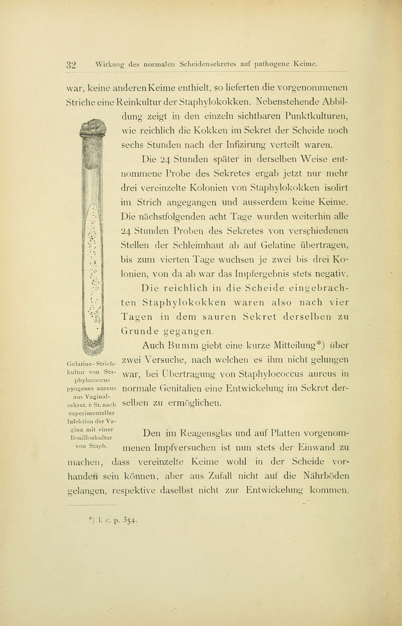 ■1 war, keine anderen Keime enthielt, so lieferten die vorgenommenen Striche eine Reinkultur der Staphylokokken. Nebenstehende Abbil- dung zeigt in den einzeln sichtbaren Punktkulturen, wie reichlich die Kokken im Sekret der Scheide noch sechs Stunden nach der Infizirung verteilt waren. Die 24 Stunden später in derselben Weise ent- nommene Probe des Sekretes ergab jetzt nur mehr drei vereinzelte Kolonien von Staphylokokken isolirt im Strich angegangen und ausserdem keine Keime. Die nächstfolgenden acht Tage wurden weiterhin alle 24 Stunden Proben des Sekretes von versphiedenen Stellen der Schleimhaut ab auf Gelatine übertragen, bis zum vierten Tage wuchsen je zwei bis drei Ko- lonien, von da ab war das Impfergebnis stets negativ. Die reichlich in die Scheide eingebrach- ten Staphylokokken waren also nach vier Tagen in dem sauren Sekret derselben zu Grunde gegangen. Auch Bumm giebt eine kurze Mitteilung*) über Gelatine-Strich- ^^'^^'^^ Versuche, nach welchen es ihm nicht gelungen kuitur von Sta- ^^^^.^ j^gj Übertragung von Staphvlococcus aureus in phylococcus o a 1 ^ pyogenes aureus normale Genitalien eine Entvvickelung im Sekret der- aus Vaginal- .sekret.6St.nach Selben ZU ermöglichen. experimenteller Infektion der Va- gina mit einer j^^^^ j^^^ Reageusglas uiul auf Platten vorgenom- Bouillonkultur o ö o von staph. nienen Impfversuchen ist nun stets der Einwand zu machen, dass vereinzelte Keime wohl in der Scheide vor- handen sein können, aber aus Zufall nicht auf die Nährböden gelangen, respektive daselbst nicht zur Entwickelung kommen.