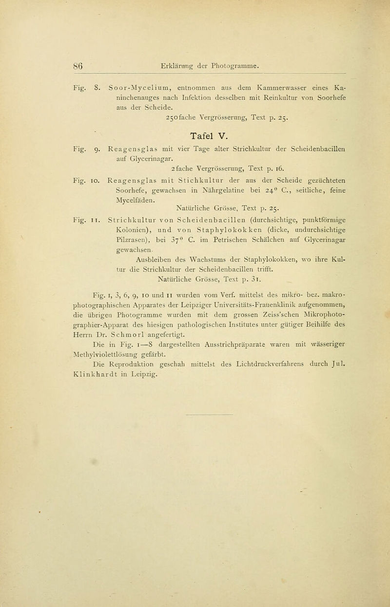 Fig. 8. Soor-Mycelium, entnommen atis dem Kammerwasser eines Ka- ninchenauges nach Infektion desselben mit Reinkultur von Soorhefe aus der Scheide. 250fache Vergrösserung, Text p. 25. Tafel V. Fig. 9. Reagensglas mit vier Tage alter Strichkultur der Scheidenbacillen auf Glycerinagar. 2 fache Vergrösserung, Text p. 16. Fig. 10. Reagensglas mit Stichkultur der aus der Scheide gezüchteten Soorhefe, gewaclisen in Nährgelatine bei 24^ C., seitliche, feine Mycelfäden. Natürliche Grösse, Text p. 25. Fig. II. Strichkultur von Scheidenbacillen (durchsichtige, punktförmige Kolonien), und von Staphylokokken (dicke, undurchsichtige Pilzrasen), bei jj^ C. im Petrischen Schälchen auf Glycerinagar gewachsen. Ausbleiben des Wachstums der Staphylokokken, wo ihre Kul- tur die Strichkultur der Scheidenbacillen trifft. Natürliche Grösse, Text p. 3i. Fig. i, 3, 6, 9, 10 und 11 wurden vom Verf. mittelst des mikro- bez. makro- photographischen Apparates der Leipziger Universitäts-Frauenklinik aufgenommen, die übrigen Photogramme wurden mit dem grossen Zeiss'schen ?^Iikrophoto- graphier-Apparat des hiesigen pathologischen Institutes unter gütiger Beihilfe des Herrn Dr. Schmorl angefertigt. Die in Fig. i—8 dargestellten Ausstrichpräparate waren mit wässeriger Methylviolettlösung gefärbt. Die Reproduktion geschah mittelst des Lichtdruckverfahrens durch Jul. Klinkhardt in Leipzig.