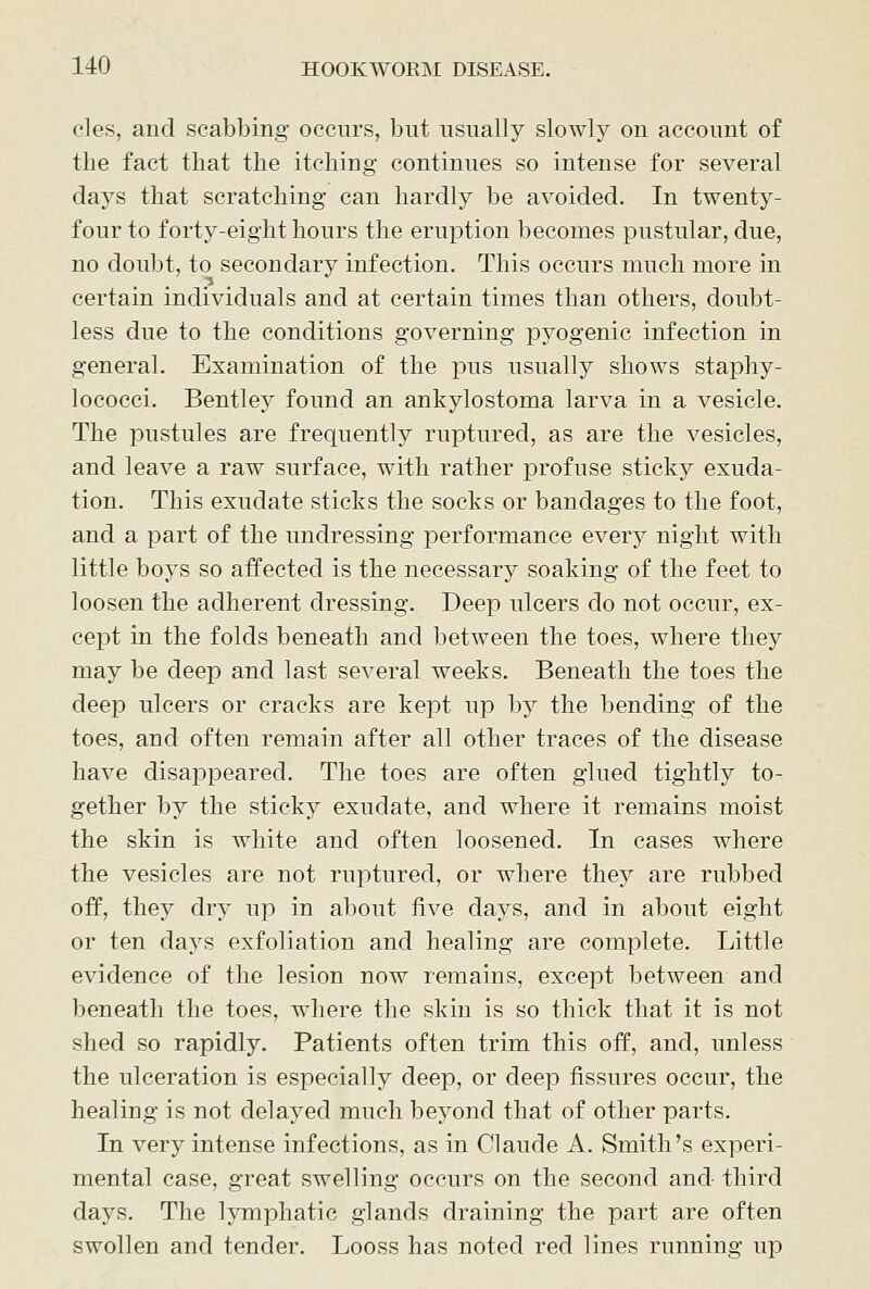 cles, and scabbing occurs, but usually slowly on account of the fact that the itching continues so intense for several days that scratching can hardly be avoided. In twenty- four to forty-eight hours the eruption becomes pustular, due, no doubt, to secondary infection. This occurs much more in certain individuals and at certain times than others, doubt- less due to the conditions governing pyogenic infection in general. Examination of the pus usually shows staphy- lococci. Bentley found an ankylostoma larva in a vesicle. The pustules are frequently ruptured, as are the vesicles, and leave a raw surface, with rather profuse sticky exuda- tion. This exudate sticks the socks or bandages to the foot, and a part of the undressing performance every night with little boys so affected is the necessary soaking of the feet to loosen the adherent dressing. Deep ulcers do not occur, ex- cept in the folds beneath and between the toes, where they may be deep and last several weeks. Beneath the toes the deep ulcers or cracks are kept up by the bending of the toes, and often remain after all other traces of the disease have disappeared. The toes are often glued tightly to- gether by the sticky exudate, and where it remains moist the skin is white and often loosened. In cases where the vesicles are not ruptured, or where they are rubbed off, they dry up in about five days, and in about eight or ten days exfoliation and healing are complete. Little evidence of the lesion now remains, except between and beneath the toes, where the skin is so thick that it is not shed so rapidly. Patients often trim this off, and, unless the ulceration is especially deep, or deep fissures occur, the healing is not delayed much beyond that of other parts. In very intense infections, as in Claude A. Smith's experi- mental case, great swelling occurs on the second and third days. The lymphatic glands draining the part are often swollen and tender, Looss has noted red lines running up