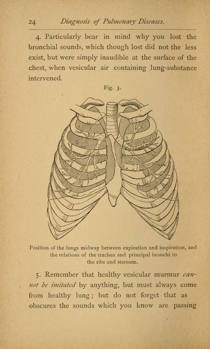 4. Particularly bear in mind why you lost the bronchial sounds, which though lost did not the less exist, but were simply inaudible at the surface of the chest, when vesicular air containing lung-substance intervened. Fig. 3. Position of the lungs midway between expiration and inspiration, and the relations of the trachea and principal bronchi to the ribs and sternum. 5. Remember that healthy vesicular murmur can- not be imitated by anything, but must always come from healthy lung; but do not forget that as obscures the sounds which you know are passing