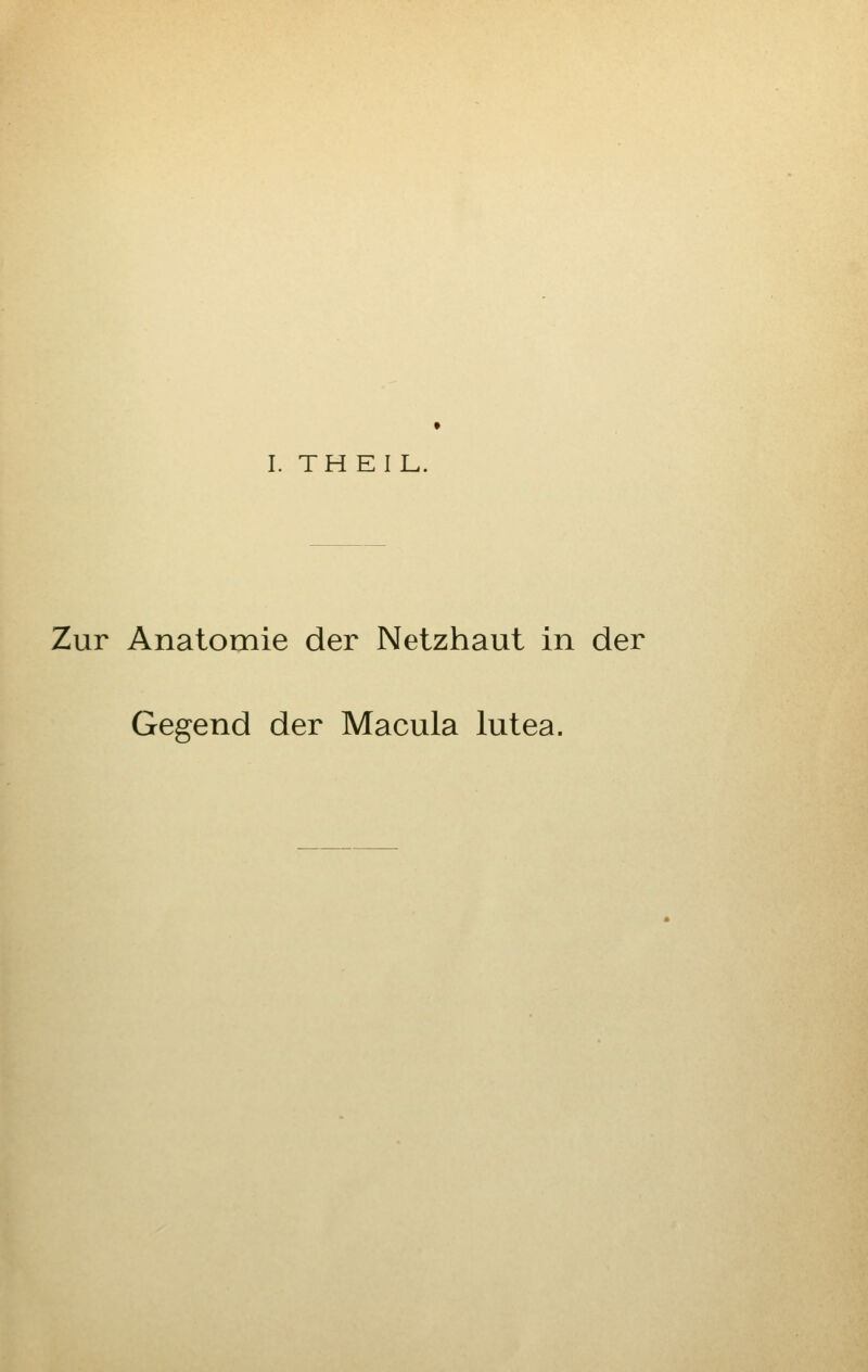 Zur Anatomie der Netzhaut in der Gegend der Macula lutea.