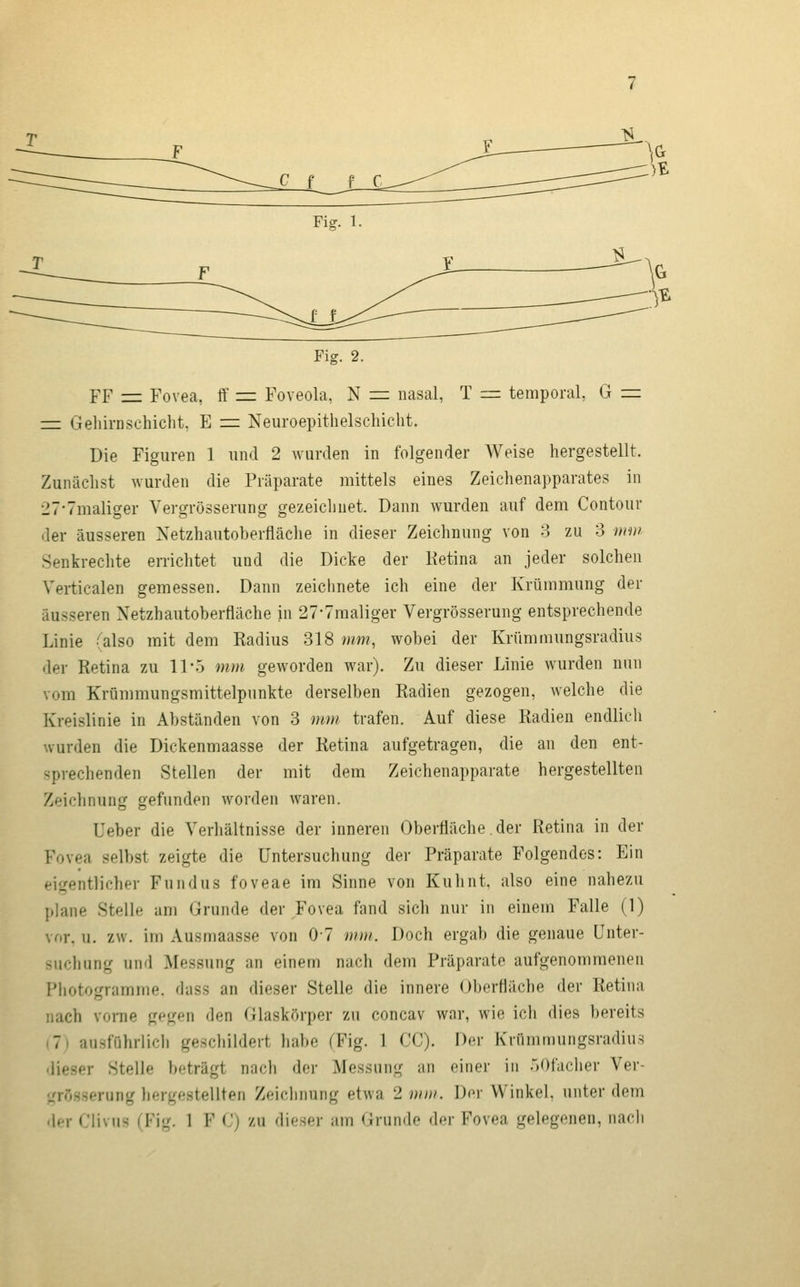 Fig. 1. Fig. 2. FF =: Fovea, ff = Foveola, N = nasal, T = temporal, G = = Gehirnschicht, E z=z Neuroepithelschicht. Die Figuren 1 und 2 wurden in folgender Weise hergestellt. Zunächst wurden die Präparate mittels eines Zeichenapparates in 27'7maliger Vergrösserung gezeichnet. Dann wurden auf dem Contour der äusseren Netzhautoberfläche in dieser Zeichnung von 3 zu 3 noi/ Senkrechte erriclitet und die Dicke der Ketina an jeder solchen Verticalen gemessen. Dann zeichnete ich eine der Krümmung der äusseren Netzhautoberfläche in 27-7raaliger Vergrösserung entsprechende Linie falso mit dem Radius 318 mm, wobei der Krümmungsradius der Retina zu 11-5 mm geworden war). Zu dieser Linie wurden nun vom Krünmiungsmittelpunkte derselben Radien gezogen, welche die Kreislinie in Abständen von 3 mm trafen. Auf diese Radien endlich wurden die Dickenmaasse der Retina aufgetragen, die an den ent- sprechenden Stellen der mit dem Zeichenapparate hergestellten Zeichnung gefunden worden waren. Ueber die Verhältnisse der inneren Oberfläche der Retina in der Fovea selbst zeigte die Untersuchung der Präparate Folgendes: Ein eigentlicher Fundus foveae im Sinne von Kuhnt. also eine nahezu plane Stelle am Grunde der Fovea fand sich nur in einem Falle (1) vor, u. zw. im Ausmaasse von 07 mm. Doch ergab die genaue Unter- suchung und Messung an einem nach dem Präparate aufgenommenen Photogramme, dass an dieser Stelle die innere Oberfläche der Retina nach vorne gegen den Glaskörper zu concav war, wie ich dies bereits (7) ausführlich geschildert habe (Fig. 1 CG). Der Krümmungsradius dieser Stelle beträgt nach der Messung an einer in HOfacher Ver- grösserung hergestellten Zeichnung etwa 2 mm. Dor Winkel, unter dem der Clivus (Fig. 1 F C) zu dieser am Grunde der Fovea gelegenen, nacli
