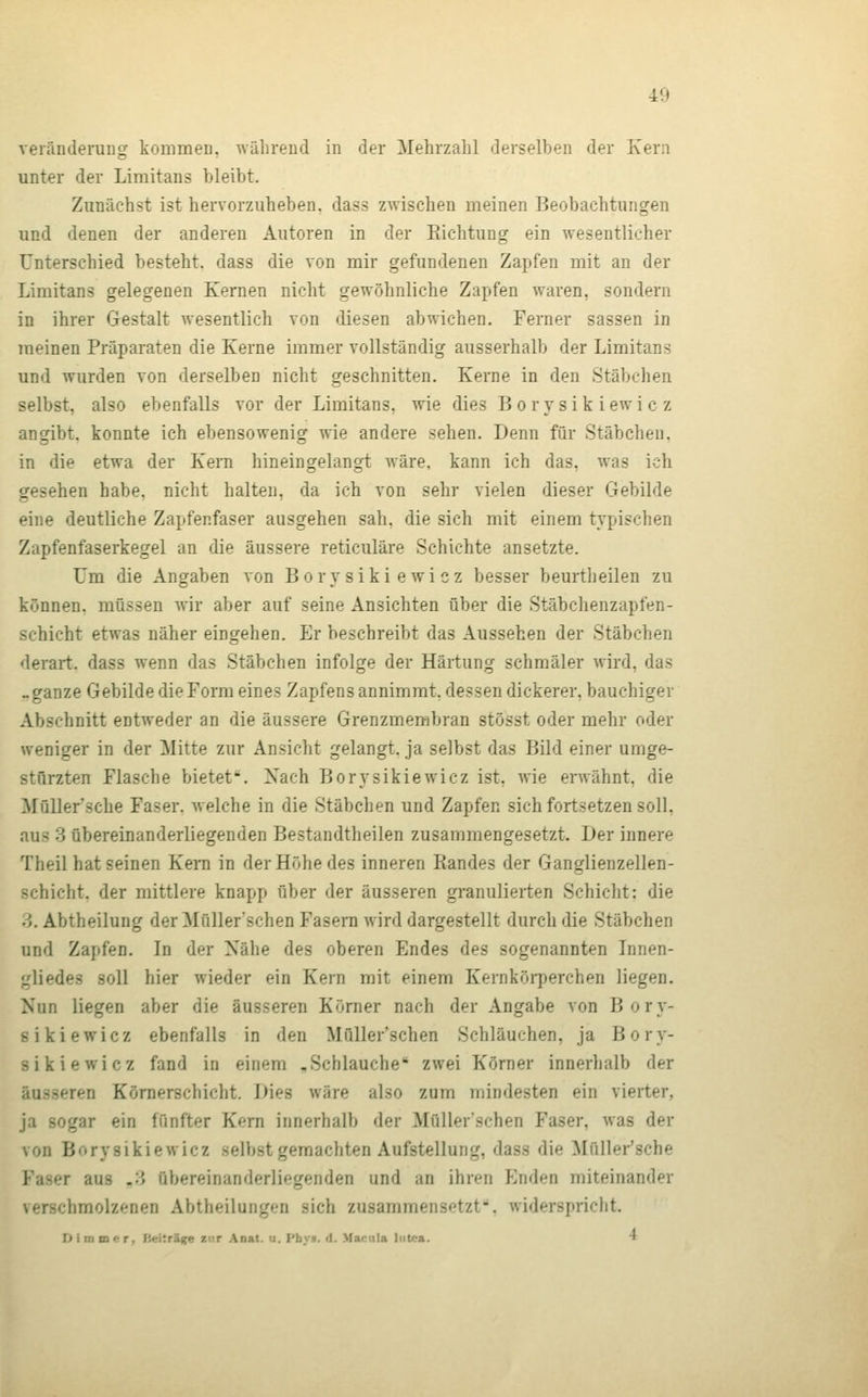 Veränderung kommen, ^väbrend in der Mehrzahl derselben der Kern unter der Limitans bleibt. Zunächst ist hervorzuheben, dass zwischen meinen Beobachtungen und denen der anderen Autoren in der Pachtung ein vresentlicher Unterschied besteht, dass die von mir gefundenen Za^^fen mit an der Limitans gelegenen Kernen nicht gewöhnliche Zapfen waren, sondern in ihrer Gestalt wesentlich von diesen abwichen. Ferner sassen in meinen Präparaten die Kerne immer vollständig ausserhalb der Limitans und wurden von derselben nicht geschnitten. Kerne in den Stäbchen selbst, also ebenfalls vor der Limitans, wie dies Bor ysik iewic z angibt, konnte ich ebensowenig wie andere sehen. Denn für Stäbchen. in die etwa der Kern hineingelangt wäre, kann ich das, was ich gesehen habe, nicht halten, da ich von sehr vielen dieser Gebilde eine deutliche Zapfenfaser ausgehen sah, die sich mit einem typischen Zapfenfaserkegel an die äussere reticuläre Schichte ansetzte. Um die Angaben von Borysikiewicz besser beurtheilen zu können, müssen wir aber auf seine Ansichten über die Stäbchenzapfen- schicht etwas näher eingehen. Er beschreibt das Aussehen der Stäbchen derart, dass wenn das Stäbchen infolge der Härtung schmäler wird, das - ganze Gebilde die Form eines Zapfens annimmt, dessen dickerer, bauchiger Abschnitt entweder an die äussere Grenzmembran stösst oder mehr oder weniger in der Mitte zur Ansicht gelangt, ja selbst das Bild einer umge- stürzten Flasche bietet. Nach Borysikiewicz ist, wie erwähnt, die Müller'sche Faser, welche in die Stäbchen und Zapfen sich fortsetzen soll, aus 3 übereinanderliegenden Bestandtheilen zusammengesetzt. Der innere Theil hat seinen Keni in der Höhe des inneren Randes der Ganglienzellen- schicht, der mittlere knapp über der äusseren gi-anulierten Schicht: die 3, Abtheilung der Müller'schen Fasern wird dargestellt durch die Stäbchen und Zapfen. In der Nähe des oberen Endes des sogenannten Innen- gliedes soll hier wieder ein Kern mit einem Kernkörperchen liegen. Nun liegen aber die äusseren Kömer nach der Angabe von Bory- sikiewicz ebenfalls in den Müller'schen Schläuchen, ja Bory- sikiewicz fand in einem ,Schlauche zwei Körner innerhalb der äusseren Kömerschicht, Dies wäre also zum mindesten ein vierter, ja sogar ein fünfter Kern innerhalb der MüUerschen Faser, was der von Borysikiewicz selbst gemachten Aufstellung, dass die Müller'sche Faser aus .3 übereinanderliegenden und an ihren Enden miteinander verschmolzenen Abtheilungen sich zusammensetzt. widerspricht. Vim m(t T, fieiträ(;e zur Aoat. u. Pbys. d. Macula lutea. *
