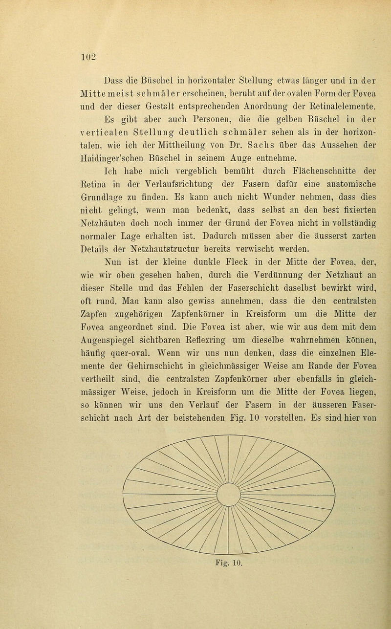 Dass die Büschel in horizontaler Stellung etwas länger und in der Mitte meist schmäler erscheinen, beruhtauf der ovalen Form der Fovea und der dieser Gestalt entsprechenden Anordnung der Ketinalelemente. Es gibt aber auch Personen, die die gelben Büschel in der vertioalen Stellung deutlich schmäler sehen als in der horizon- talen, wie ich der Mittheilung von Dr. Sachs über das Aussehen der Haidinger'schen Büschel in seinem Auge entnehme. Ich habe mich vergeblich bemüht durch Flächenschnitte der Eetina in der Verlaufsrichtung der Fasern dafür eine anatomische Grundlage zu finden. Es kann auch nicht Wunder nehmen, dass dies nicht gelingt, wenn man bedenkt, dass selbst an den best fixierten Netzhäuten doch noch immer der Grund der Fovea nicht in vollständig normaler Lage erhalten ist. Dadurch müssen aber die äusserst zarten Details der Netzhautstructur bereits verwischt werden. Nun ist der kleine dunkle Fleck in der Mitte der Fovea, der, wie wir oben gesehen haben, durch die Verdünnung der Netzhaut an dieser Stelle und das Fehlen der Faserschicht daselbst bewirkt wird, oft rund. Man kann also gewiss annehmen, dass die den centralsten Zapfen zugehörigen Zapfenkörner in Kreisform um die Mitte der Fovea angeordnet sind. Die Fovea ist aber, wie wir aus dem mit dem Augenspiegel sichtbaren Keflexring um dieselbe wahrnehmen können, häufig quer-oval. Wenn wir uns nun denken, dass die einzelnen Ele- mente der Gehirnschicht in gieichmässiger Weise am Bande der Fovea vertheilt sind, die centralsten Zapfenkörner aber ebenfalls in gleich- massiger Weise, jedoch in Kreisform um die Mitte der Fovea liegen, so können wir uns den Verlauf der Fasern in der äusseren Faser- schicht nach Art der beistehenden Fig. 10 vorstellen. Es sind hier von Fiff. 10.