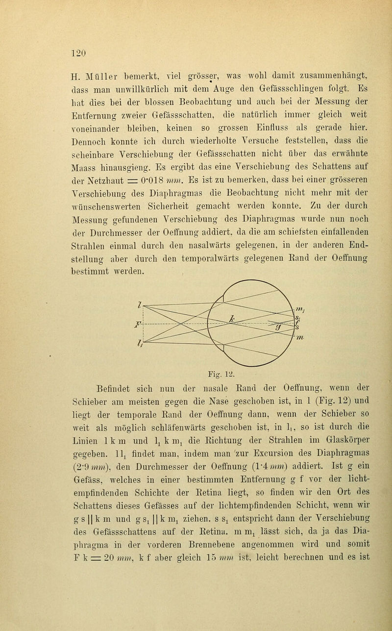 H. Müller bemerkt, viel grösser, was wohl damit zusammenhängt, dass man unwillkürlich mit dem Auge den Gefässschlingen folgt. Es hat dies bei der blossen Beobachtung und auch bei der Messung der Entfernung zweier Gefässschatten, die natürlich immer gleich weit voneinander bleiben, keinen so grossen Einfluss als gerade hier. Dennoch konnte ich durch wiederholte Versuche feststellen, dass die scheinbare Verschiebung der Gefässschatten nicht über das erwähnte Maass hinausgieng. Es ergibt das eine Verschiebung des Schattens auf der Netzhaut == 0018 omn. Es ist zu bemerken, dass bei einer grösseren Verschiebung des Diaphragmas die Beobachtung nicht mehr mit der wünschenswerten Sicherheit gemacht werden konnte. Zu der durch Messung gefundenen Verschiebung des Diaphragmas wurde nun noch der Durchmesser der Oeffnung addiert, da die am schiefsten einfallenden Strahlen einmal durch den nasalwärts gelegenen, in der anderen End- stellung aber durch den temporalwärts gelegenen Eand der Oeffnung bestimmt werden. Fig. 12. Befindet sich nun der nasale Kand der Oeffnung, wenn der Schieber am meisten gegen die Nase geschoben ist, in 1 (Fig. 12) und liegt der temporale Kand der Oeffnung dann, wenn der Schieber so weit als möglich schläfenwärts geschoben ist, in 1,, so ist durch die Linien 1km und 1^ k m^ die Kichtung der Strahlen im Glaskörper gegeben. 11^ findet man, indem man'zur Excursion des Diaphragmas (2'9 mm), den Durchmesser der Oeffnung (1-4 mw) addiert. Ist g ein Gefäss, welches in einer bestimmten Entfernung g f vor der licht- empfindenden Schichte der Retina liegt, so finden wir den Ort des Schattens dieses Gefässes auf der lichtempfindenden Schicht, wenn wir g s II k m und g s^ || k m^ ziehen, s s^ entspricht dann der Verschiebung des Gefässschattens auf der Retina, m m^ lässt sich, da ja das Dia- phragma in der vorderen Brennebene angenommen wird und somit F k zz: 20 mm, k f aber gleich 15 mm ist, leicht berechnen und es ist