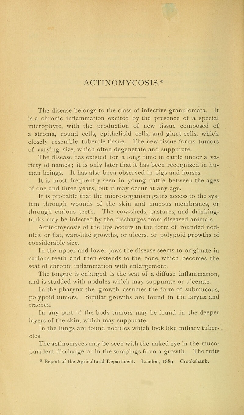 ACTINOMYCOSIS.* The disease belongs to the class of infective granulomata. It is a chronic inflannmation excited by the presence of a special microphyte, with the production of new tissue composed of a stroma, round cells, epithelioid cells, and giant cells, which closely resemble tubercle tissue. The new tissue forms tumors of varying size, which often degenerate and suppurate. The disease has existed for a long time in cattle under a va- riety of names ; it is only later that it has been recognized in hu- man beings. It has also been observed in pigs and horses. It is most frequently seen in young cattle between the ages of one and three years, but it may occur at any age. It is probable that the micro-organism gains access to the sys- tem through wounds of the skin and mucous membranes, or through carious teeth. The cow-sheds, pastures, and drinking- tanks may be infected by the discharges from diseased animals. Actinomycosis of the lips occurs in the form of rounded nod- ules, or flat, wart-like growths, or ulcers, or polypoid growths of considerable size. In the upper and lower jaws the disease seems to originate in carious teeth and then extends to the bone, which becomes the seat of chronic inflammation with enlargement. The tongue is enlarged, is the seat of a diffuse inflammation, and is studded with nodules which may suppurate or ulcerate. In the pharynx the growth assumes the form of submucous, polypoid tumors. Similar growths are found in the larynx and trachea. In any part of the body tumors may be found in the deeper layers of the skin, which may suppurate. In the lungs are found nodules which look like miliary tuber-, cles. The actinomyces may be seen with the naked eye in the muco- purulent discharge or in the scrapings from a growth. The tufts * Report of the Agricultural Department. London, 18S9. Crookshank.