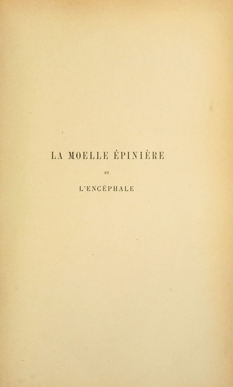 LA MOELLE EPINIERE ET L'ENCÉPHALE