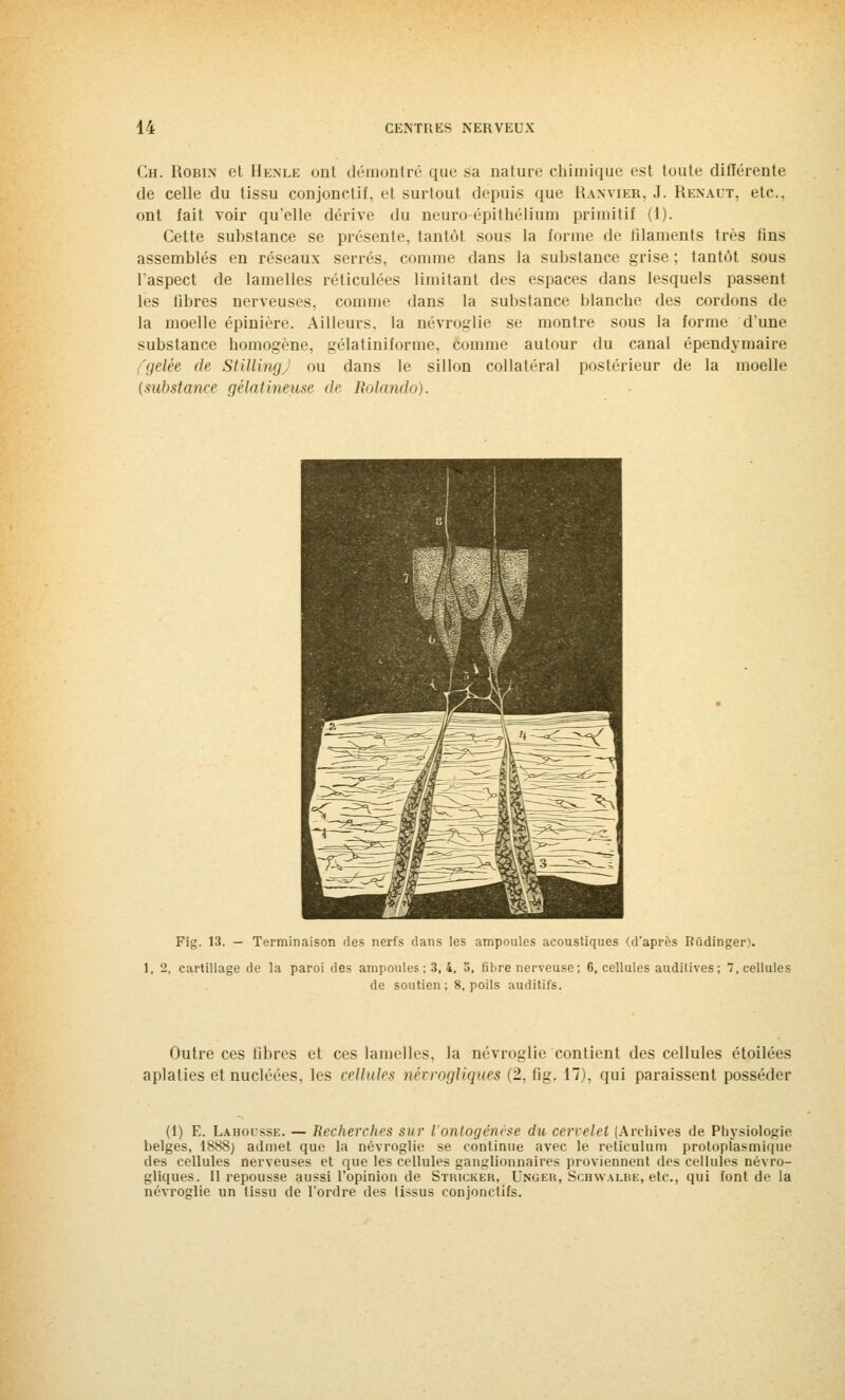 Ch. Robin et Henle ont démontré que sa nature chimique est toute différente de celle du tissu conjonctif. el surtout depuis que Hanvier, J. Rexaut, etc., ont fait voir qu'elle dérive du neuro épithéliuni primitif (1). Cette substance se présente, tantôt sous la forme de filaments très fins assemblés en réseaux serrés, comme dans la substance grise ; tantôt sous l'aspect de lamelles réticulées limitant des espaces dans lesquels passent les fibres nerveuses, comme dans la substance blanche des cordons de la moelle épinière. Ailleurs, la névroglie se montre sous la forme d'une substance homogène, gélatiniforme, comme autour du canal épendymaire gelée de StillingJ ou dans le sillon collatéral postérieur de la moelle {substance gélatineuse de Rolande). Fig. 13. — Terminaison des nerfs dans les ampoules acoustiques (d'après Rûdinger). 1, 2, cartillage de la paroi des ampoules ; 3, 4. 5, fibre nerveuse; 6, cellules auditives; 7, cellules de soutien ; 8, poils auditifs. Outre ces fibres et ces lamelles, la névroglie contient des cellules étoilées aplaties et nucléées, les cellules nèvrogliques (2, fig. 17), qui paraissent posséder (1) E. Laholsse. — Recherches sur l'ontogéni-se du cervelet (Archives de Physiologie belges, 1888) admet que la névroglie se continue avec le reticulum protopfasmique des cellules nerveuses et que les cellules ganglionnaires proviennent des cellules nèvro- gliques. Il repousse aussi l'opinion de Stricker, Unger, Schwalbe, etc., qui font de la névroglie un tissu de l'ordre des tissus conjonctifs.