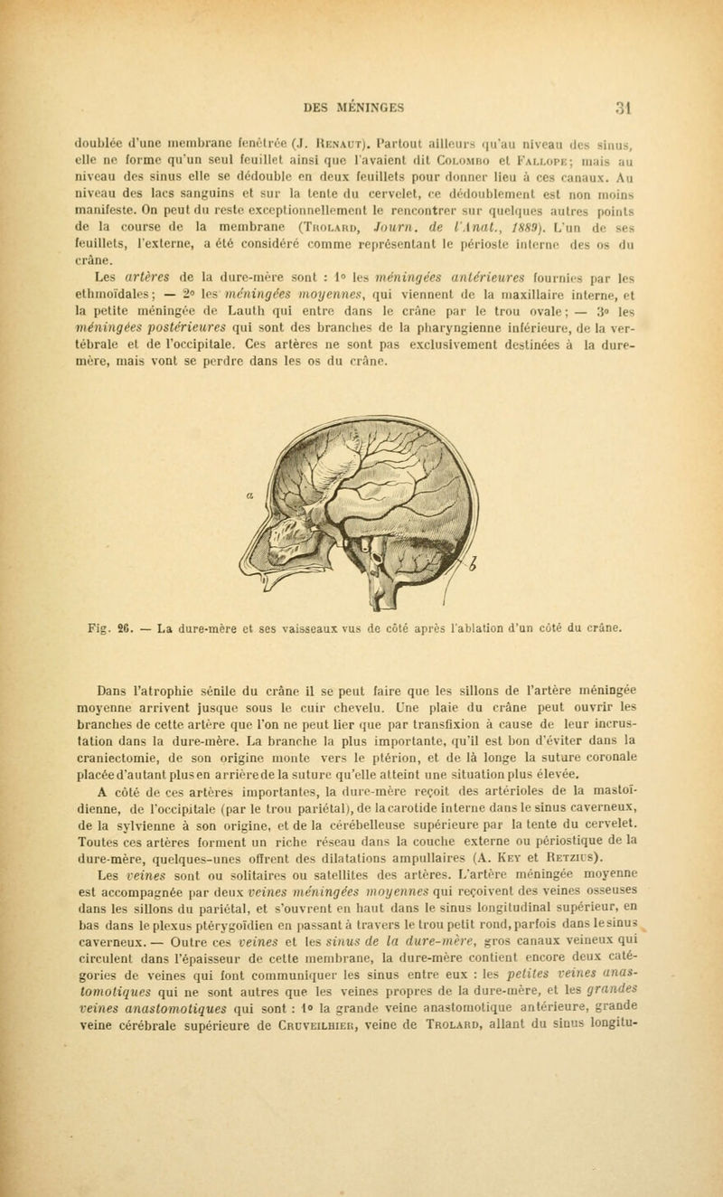 doublée d'une membrane fenêtrée (J. Renaut). Partout ailleurs qu'au niveau des Binus, elle ne (orme qu'un seul feuillet ainsi que l'avaient dit Colombo et Fallope; maie au niveau des sinus elle se dédouble en deux feuillets pour donner lieu à ces canaux. Au niveau des lacs sanguins et suc la tente du cervelet, ce dédoublement est non moins manifeste. On peut du reste, exceptionnellement le rencontrer sur quelques autres points de la course de la membrane (Trolaed, Journ. de l'A nul., Î889). L'un de ses feuillets, l'externe, a été considéré comme représentant le périoste interne des os du crâne. Les artères de la dure-mère sont : 1° Les méningées antérieures fournie-- par les ethmoïdales; — 2° les méningées moyennes, qui viennent de la maxillaire interne, et la petite méningée de Lauth qui entre dans le crâne par le trou ovale ; — :j<> les méningées postérieures qui sont des brandies de la pharyngienne inférieure, de la ver- tébrale et de l'occipitale. Ces artères ne sont pas exclusivement destinées à la dure- mère, mais vont se perdre dans les os du crâne. Fig. 26. — La dure-mère et ses vaisseaux vus de côté après l'ablation d'un coté du crâne. Dans l'atrophie sénile du crâne il se peut faire que les sillons de l'artère méningée moyenne arrivent jusque sous le cuir chevelu. L'ne plaie du crâne peut ouvrir les branches de cette artère que l'on ne peut lier que par transflxion à cause de leur incrus- tation dans la dure-mère. La branche la plus importante, qu'il est bon d'éviter dans la craniectomie, de son origine monte vers le ptérion, et de là longe la suture coronale placée d'autant plus en arrière de la suture qu'elle atteint une situation plus élevée. A côté de ces artères importantes, la dure-mère reçoit des artérioles de la mastoï- dienne, de l'occipitale (par le trou pariétal), de la carotide interne dans le sinus caverneux, de la sylvienne à son origine, et de la cérébelleuse supérieure par la tente du cervelet. Toutes ces artères forment un riche réseau dans la couche externe ou périostique de la dure-mère, quelques-unes offrent des dilatations ampullaires (A. Key et Retzils). Les veines sont ou solitaires ou satellites des artères. L'artère méningée moyenne est accompagnée par deux veines méningées moyennes qui reçoivent des veines osseuses dans les sillons du pariétal, et s'ouvrent en haut dans le sinus longitudinal supérieur, en bas dans le plexus ptérygoïdien en passant à travers le trou petit rond, parfois dans le sinus caverneux. — Outre ces veines et les sinus de la dure-mère, gros canaux veineux qui circulent dans l'épaisseur de cette membrane, la dure-mère contient encore deux caté- gories de veines qui font communiquer les sinus entre eux : les petites veines anas- tomotiques qui ne sont autres que les veines propres de la dure-mère, et les grandes veines anastomotiques qui sont : 1» la grande veine anastomotique antérieure, grande veine cérébrale supérieure de Cruveilhiei;, veine de Trolard, allant du sinus longitu-