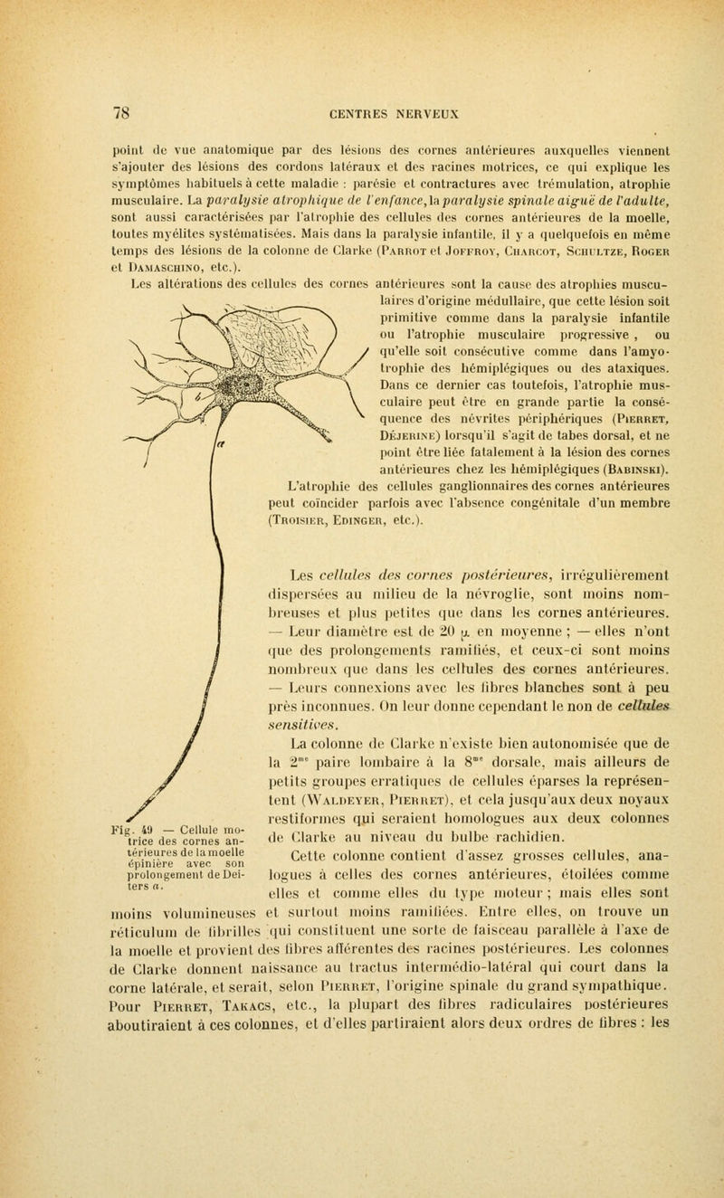 point de vue anatomique par des lésions des cornes antérieures auxquelles viennent s'ajouter des lésions des cordons latéraux et des racines motrices, ce qui explique les symptômes habituels à cette maladie : parésie et contractures avec trémulation, atrophie musculaire. La paralysie atrophique de l'en fance,\a paralysie spinale aiguë de l'adulte, sont aussi caractérisées par l'atrophie des cellules des cornes antérieures de la moelle, toutes myélites systématisées. Mais dans la paralysie infantile, il y a quelquefois en même temps des lésions de la colonne de Clarke (PARROTet Joffroy, Charcot, Sciiultze, Roger et Damaschino, etc.). Les altérations des cellules des cornes antérieures sont la cause des atrophies muscu- laires d'origine médullaire, que cette lésion soit primitive comme dans la paralysie infantile ou l'atrophie musculaire progressive , ou qu'elle soit consécutive comme dans l'amyo- trophie des hémiplégiques ou des ataxiques. Dans ce dernier cas toutefois, l'atrophie mus- culaire peut être en grande partie la consé- quence des névrites périphériques (Pierret, Déjerine) lorsqu'il s'agit de tabès dorsal, et ne point être liée fatalement à la lésion des cornes antérieures chez les hémiplégiques (Babinski). L'atrophie des cellules ganglionnaires des cornes antérieures peut coïncider parfois avec l'absence congénitale d'un membre (Troisier, Edinger, etc.). Les cellules des cornes postérieures, irrégulièrement dispersées au milieu de la névroglie, sont moins nom- breuses et plus petites que dans les cornes antérieures. — Leur diamètre est de 20 y. en moyenne ; — elles n'ont que des prolongements ramifiés, et ceux-ci sont moins nombreux que dans les cellules des cornes antérieures. — Leurs connexions avec les libres blanches sont à peu près inconnues. On leur donne cependant le non de cellules sensitives. La colonne de Clarke n'existe bien aulonomisée que de la 2me paire lombaire à la 8 dorsale, mais ailleurs de petits groupes erratiques de cellules éparses la représen- tent (Waldeyer, Pierret), et cela jusqu'aux deux noyaux restiformes qui seraient homologues aux deux colonnes de Clarke au niveau du bulbe rachidien. Cette colonne contient d'assez grosses cellules, ana- logues à celles des cornes antérieures, étoilées comme elles et comme elles du type moteur ; mais elles sont moins volumineuses et surtout moins ramifiées. Entre elles, on trouve un réticulum de fibrilles qui constituent une sorte de faisceau parallèle à l'axe de la moelle et provient des fibres afférentes des racines postérieures. Les colonnes de Clarke donnent naissance au tractus intermédio-latéral qui court dans la corne latérale, et serait, selon Pierret, l'origine spinale du grand sympathique. Pour Pierret, Takacs, etc., la plupart des fibres radiculaires postérieures aboutiraient à ces colonnes, et d'elles partiraient alors deux ordres de fibres : les Fig. 49 — Cellule mo- trice des cornes an- térieures de lamoelle épinière avec son prolongement deDei- ters a.