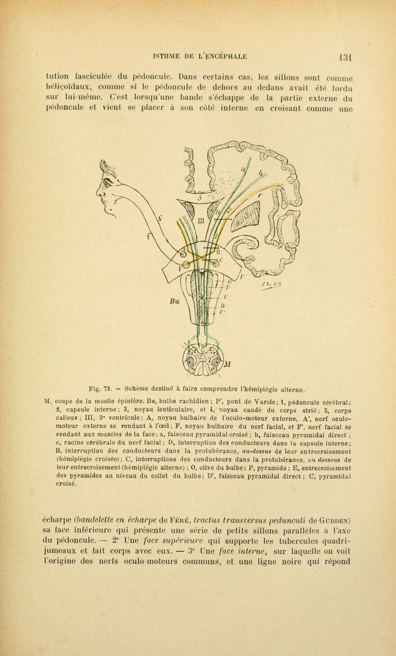 tutioD fasciculée du pédoncule. Dans certains cas, les sillons sont comme hélicoïdaux, comme si le pédoncule de dehors au dedans avait été lordu sur lui même. C'est Lorsqu'une bande s'échappe de la partie externe du pédoncule et vient se placer à son côté interne en croisant comme une Fig. 72. - Schème destiné à faire comprendre l'hémiplégie alterne. M, coupe de la moelle épinière. Bu, bulbe rachidien ; P', pont de Varole; 1, pédoncule cérébral; 2, capsule interne ; 3, noyau lenticulaire, et 4, noyau caudé du corps strié ; 5, corps calleux; III, 3* ventricule; A, noyau bulbaire de l'oculo-moteur externe, A', nerf oculo- moteur externe se rendant à l'œil; F, noyau bulbaire du nerf facial, et F', nerf facial se rendant aux muscles delà face; a, faisceau pyramidal croisé ; b, faisceau pyramidal direct ; c, racine cérébrale du nerf facial; D, interruption des conducteurs dans la capsule interne; B, interruption des conducteurs dans la protubérance, au-dessus de leur entrecroisement (hémiplégie croisée) ; C, interruptions des conducteurs dans la protubérance, un dessous de leur entrecroisement (hémiplégie alterne) ; 0, olive du bulbe ; P, pyramide ; E. entrecroisement des pyramides au niveau du collet du bulbe; D, faisceau pyramidal direct; C, pyramidal croisé. écharpe (bandelette en êcharpe de Féré, tractus tramversus pedunculi de Gudden) sa face inférieure qui présente une série de petits sillons parallèles à l'axe du pédoncule. — 2° Une face supérieure qui supporte les tubercules quadri- jumeaux et fait corps avec eux. — 3° Une face interne, sur laquelle on voit l'origine des nerfs oculo-moteurs communs, et une ligne noire qui répond