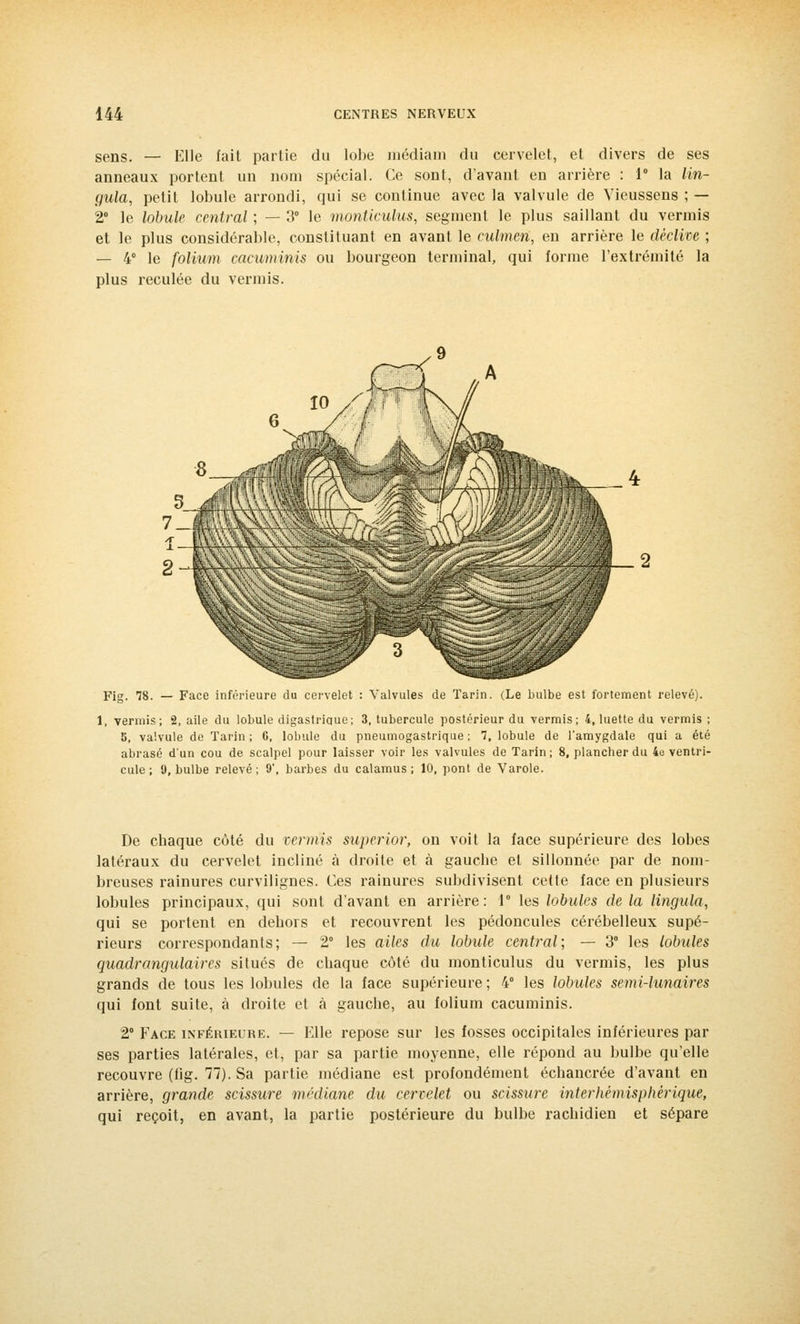 sens. — Elle fait partie du lobe médiam du cervelet, et divers de ses anneaux portent un nom spécial. Ce sont, d'avant en arrière : 1° la lin- gula, petit lobule arrondi, qui se continue avec la valvule de Vieussens ; — 2° le lobule central ; — 3° le monticulus, segment le plus saillant du vermis et le plus considérable, constituant en avant le culmen, en arrière le déclive ; — 4° le folium cacv/minis ou bourgeon terminal, qui forme l'extrémité la plus reculée du vermis. Fig. 78. — Face inférieure du cervelet : Valvules de Tarin. (Le bulbe est fortement relevé). 1, vermis; 2, aile du lobule digastrique; 3, tubercule postérieur du vermis; 4, luette du vermis ; 5, valvule de Tarin ; 6, lobule du pneumogastrique ; 7, lobule de l'amygdale qui a été abrasé d'un cou de scalpel pour laisser voir les valvules de Tarin; 8, plancher du 4e ventri- cule ; 9, bulbe relevé ; 9, barbes du calamus ; 10, pont de Varole. De chaque côté du vermis superior, on voit la face supérieure des lobes latéraux du cervelet incliné à droite et à gauche et sillonnée par de nom- breuses rainures curvilignes. Ces rainures subdivisent cette face en plusieurs lobules principaux, qui sont d'avant en arrière: 1° les lobules de la lingula, qui se portent en dehors et recouvrent les pédoncules cérébelleux supé- rieurs correspondants; — 2° les ailes du lobule central; — 3° les lobules quadr angulaire s situés de chaque côté du monticulus du vermis, les plus grands de tous les lobules de la face supérieure ; 4° les lobules semi-lunaires qui font suite, à droite et à gauche, au folium cacuminis. 2° Face inférieure. — Elle repose sur les fosses occipitales inférieures par ses parties latérales, et, par sa partie moyenne, elle répond au bulbe qu'elle recouvre (fig. 77). Sa partie médiane est profondément échancrée d'avant en arrière, grande scissure médiane du cervelet ou scissure interhémisphérique, qui reçoit, en avant, la partie postérieure du bulbe rachidien et sépare