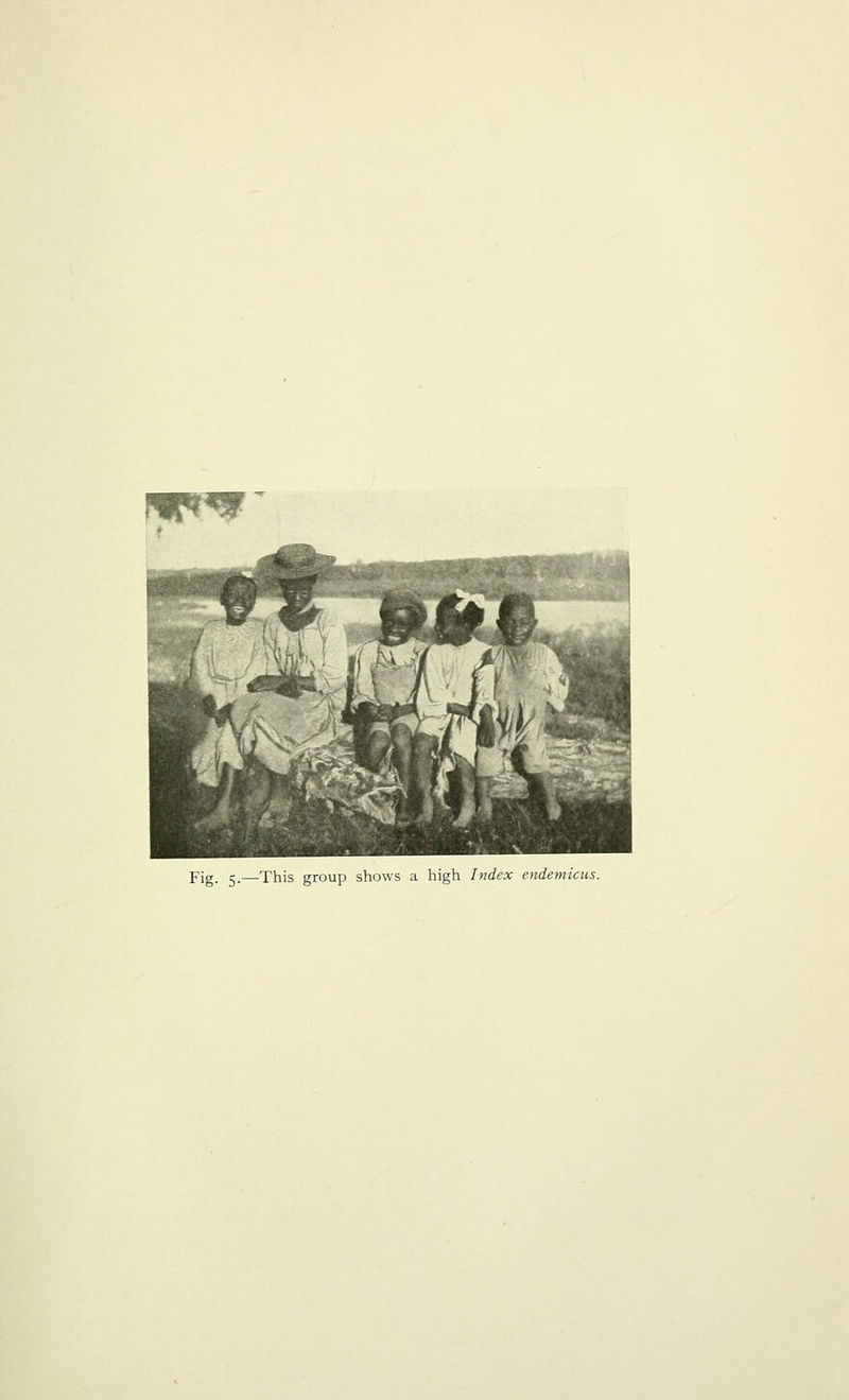 Fig. 5.—This group shows a high Index endemicus.
