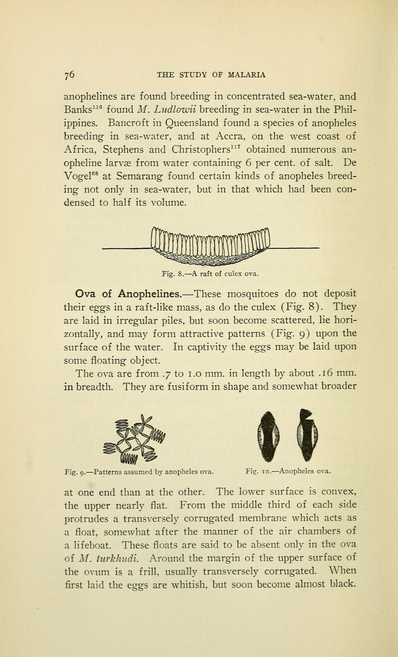 anophelines are found breeding in concentrated sea-water, and Banks116 found M. Ludlowii breeding in sea-water in the Phil- ippines. Bancroft in Queensland found a species of anopheles breeding in sea-water, and at Accra, on the west coast of Africa, Stephens and Christophers117 obtained numerous an- opheline larvae from water containing 6 per cent, of salt. De Vogel68 at Semarang found certain kinds of anopheles breed- ing not only in sea-water, but in that which had been con- densed to half its volume. Fig. 8.—A raft of culex ova. Ova of Anophelines.—These mosquitoes do not deposit their eggs in a raft-like mass, as do the culex (Fig. 8). They are laid in irregular piles, but soon become scattered, lie hori- zontally, and may form attractive patterns (Fig. 9) upon the surface of the water. In captivity the eggs may be laid upon some floating object. The ova are from .7 to 1.0 mm. in length by about .16 mm. in breadth. They are fusiform in shape and somewhat broader Fig. 9.—Patterns assumed by anopheles ova. Fig. 10.—Anopheles ova. at one end than at the other. The lower surface is convex, the upper nearly flat. From the middle third of each side protrudes a transversely corrugated membrane which acts as a float, somewhat after the manner of the air chambers of a lifeboat. These floats are said to be absent only in the ova of M. turkhudi. Around the margin of the upper surface of the ovum is a frill, usually transversely corrugated. When first laid the eggs are whitish, but soon become almost black.