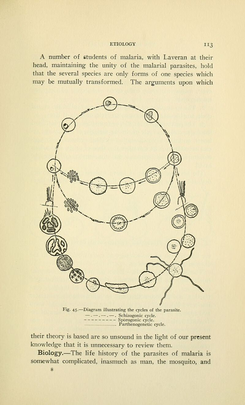 IJ3 A number of students of malaria, with Laveran at their head, maintaining the unity of the malarial parasites, hold that the several species are only forms of one species which may be mutually transformed. The arguments upon which Fig. 45-—Diagram illustrating the cycles of the parasite. — . —. — . — . Schizogonic cycle. Spbrogonic cycle. Parthenogenetic cycle. their theory is based are so unsound in the light of our present knowledge that it is unnecessary to review them. Biology.—The life history of the parasites of malaria is somewhat complicated, inasmuch as man, the mosquito, and