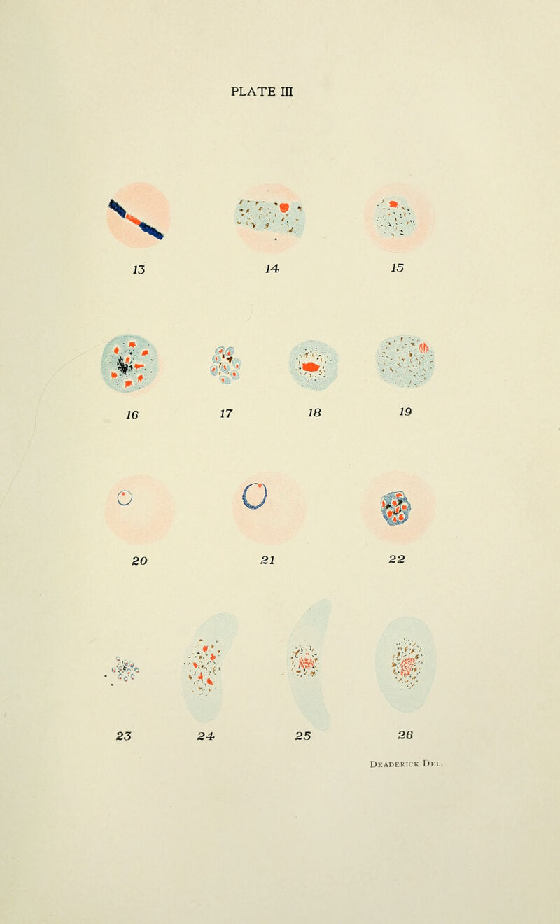 ** * : W *i , •. i - 13 14 J5 •>?.; ■' V'' ft i6 17 18 19 o 20 21 22 i -r'- #.-.- ,'.j» 23 24- 25 26