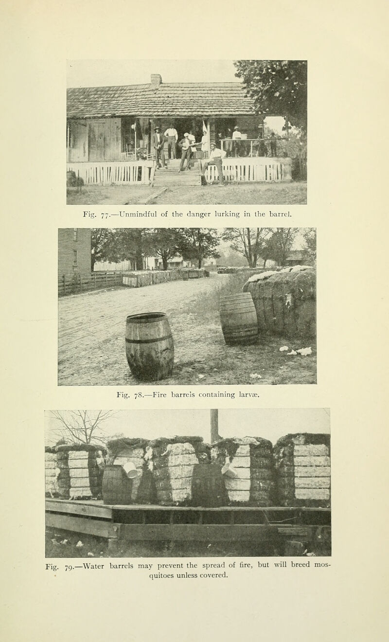 Fig. 77.—Unmindful of the danger lurking in the barrel. Fig. 78.—Fire barrels containing larvse. Fig. 79.—Water barrels may prevent the spread of fire, but will breed mos- quitoes unless covered.