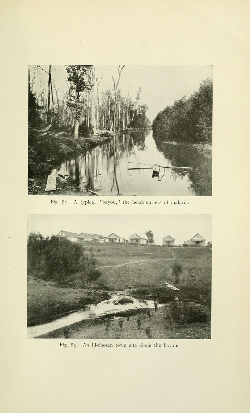 Fig. 82.—A typical bayou, the headquarters of malaria. Fig. 83.—An ill-chosen town site along the bayou.