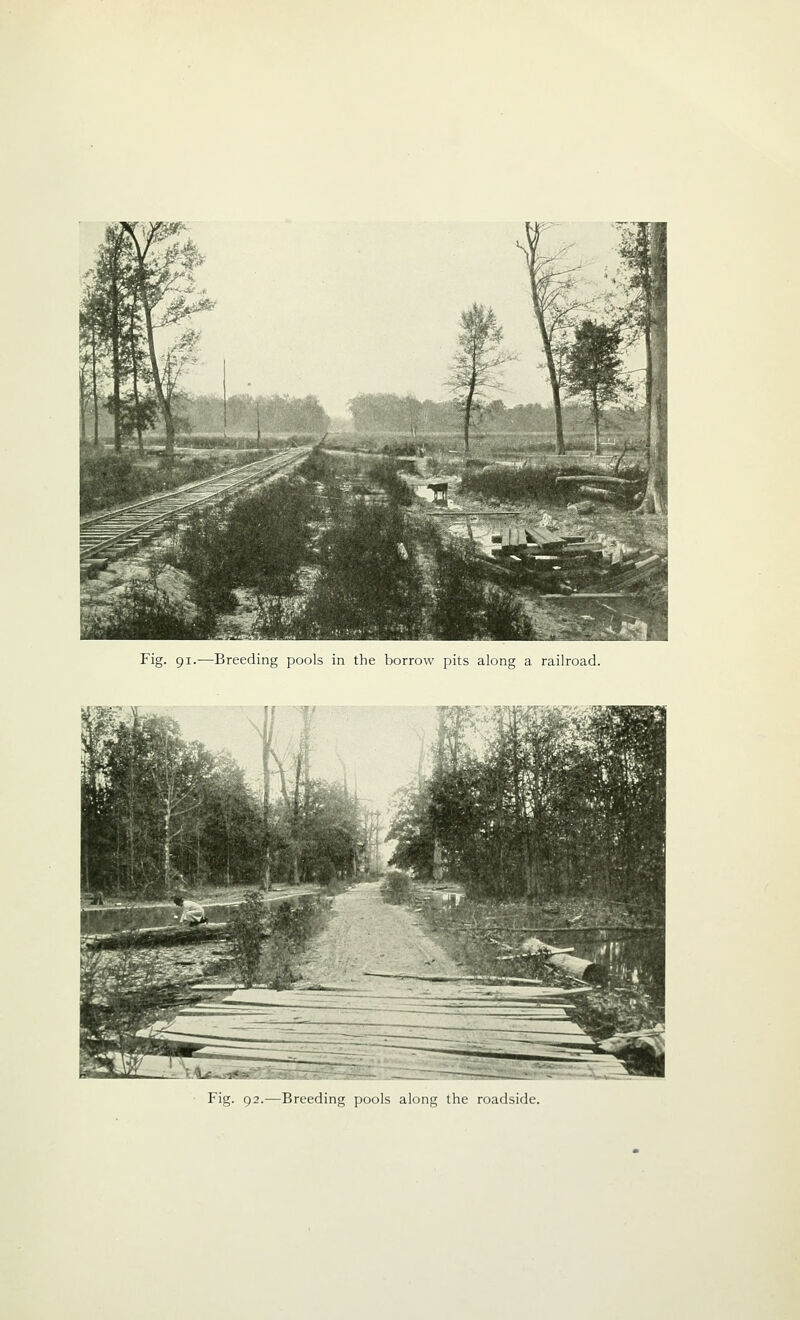 Fig. 91.—Breeding pools in the borrow pits along a railroad. Fig. 92.—Breeding pools along the roadside.