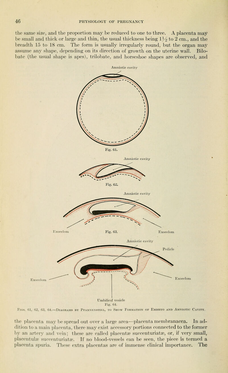 the same size, and the proportion may be reduced to one to three. A placenta may be small and thick or large and thin, the usual thickness being l^^ to 2 cm., and the breadth 15 to 18 cm. The form is usually irregularly round, but the organ may assume any shape, depending on its direction of growth on the uterine wall. Bilo- bate (the usual shape is apes), trilobate, and horseshoe shapes are observed, and Amniotic cavity Fig. 61. Amniotic cavity Fig. 62. Amniotic cavity Exocelom Fig. 63. Exocelom Amniotic cavity Pedicle Exocelom Exocelom Umbilical vesicle Fig. 64. Figs. 01, 02, G.3, 04.—Diagrams by Pfannknstiel, to Show Formation of Embryo and Amniotic Cavity. the placenta may be spread out over a large area—placenta membranacea. In ad- dition to a main placenta, there may exist accessory portions connected to the former by an artery and vein; these are called placentae succenturiatse, or, if very small, placentulae succenturiatse. If no blood-vessels can be seen, the piece is termed a placenta spuria. These extra placentas are of immense clinical importance. The