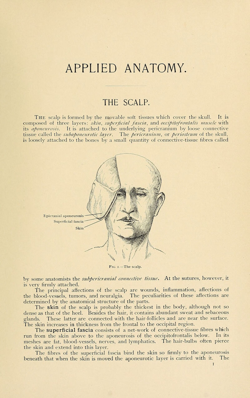 APPLIED ANATOMY. THE SCALP. The scalp is formed by the movable soft tissues which cover the skull. It is composed of three layers: skin, superficial fascia, and occipitofrontalis iimscle \\it\\ its aponeurosis. It is attached to the underlying pericranium by loose connective tissue called the subaponeurotic layer. The pericranium, or periosteum of the skull, is loosely attached to the bones by a small quantity of connective-tissue fibres called Epicranial aponeurosis Superficial fascia Skin \ \ // r Fig i.^Thescalp. by some anatomists the subpericranial connective tissue. At the sutures, however, it is very firmly attached. The principal affections of the scalp are wounds, inflammation, affections of the blood-vessels, tumors, and neuralgia. The peculiarities of these affections are determined by the anatomical structure of the parts. The skin of the scalp is probably the thickest in the body, although not so dense as that of the heel. Besides the hair, it contains abundant sweat and sebaceous glands. These latter are connected with the hair-follicles and are near the surface. The skin increases in thickness from the frontal to the occipital region. The superficial fascia consists of a net-work of connective-tissue fibres which run from the skin above to the aponeurosis of the occipitofrontalis below. In its meshes are fat, blood-vessels, nerves, and lymphatics. The hair-bulbs often pierce the skin and e.xtend into this layer. The fibres of the superficial fascia bind the skin so firmly to the aponeurosis beneath that when the skin is moved the aponeurotic layer is carried with it. The