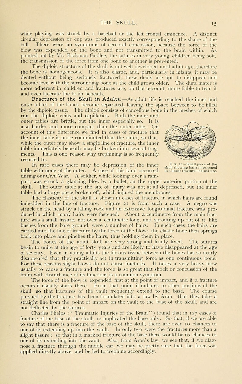while playing, was struck by a baseball on the left frontal eminence. A distinct circular depression or cup was produced exactly corresponding to the shape of the ball. There were no symptoms of cerebral concussion, because the force of the blow was expended on the bone and not transmitted to the brain within. As pointed out by Mr. Rickman Godlee, the sutures in very young children being soft, the transmission of the force from one bone to another is prevented. The diploic structure of the skull is not well developed until adult age, therefore the bone is homogeneous. It is also elastic, and, particularly in infants, it may be dented without being seriously fractured; these dents are apt to disappear and become level with the surrounding bone as the child grows older. The dura mater is more adherent in children and fractures are, on that account, more liable to tear it and even lacerate the brain beneath. Fractures of the Skull in Adults.—As adult life is reached the inner and outer tables of the bones become separated, leaving the space between to be filled by the diploic tissue. The diploe consists of cancellous bone in the meshes of which run the diploic veins and capillaries. Both the inner and outer tables are brittle, but the inner especially so. It is also harder and more compact than the outer table. On account of this difference we find in cases of fracture that the inner table is more comminuted than the outer, so that, while the outer may show a single line of fracture, the inner table immediately beneath may be broken into several frag- ments. This is one reason why trephining is so frequently resorted to. In rare cases there may be depression of the inner table with none of the outer. A case of this kind occurred during our Civil War. A soldier, while looking over a ram- part, was struck a glancing blow by a bullet, on the upper anterior portion of the skull. The outer table at the site of injury was not at all depressed, but the inner table had a large piece broken off, which injured the membranes. The elasticity of the skull is shown in cases of fracture in which hairs are found imbedded in the line of fracture. Figure 21 is from such a case. A negro was struck on the head by a falling rock and an extensive longitudinal fracture was pro- duced in which many hairs were fastened. About a centimetre from the main frac- ture was a small fissure, not over a centimetre long, and sprouting up out of it, like bushes from the bare ground, were a number of hairs. In such cases the hairs are carried into the line of fracture by the force of the blow; the elastic bone then springs back into place and pinches the hairs, thus holding them in place. The bones of the adult skull are very strong and firmly fixed. The sutures begin to unite at the age of forty years and are likely to have disappeared at the age of seventy. Even in young adults the fibrous tissue between the bones has so nearly disappeared that they practically act in transmitting force as one continuous bone. For these reasons slight blows do not cause fractures. It takes a very heavy blow usually to cause a fracture and the force is so great that shock or concussion of the brain with disturbance of its functions is a common symptom. The force of the blow is expended first at the point of impact, and if a fracture occurs it usually starts there. From that point it radiates to other portions of the skull, so that fractures of the vault frequently extend to the base. The course pursued by the fracture has been formulated into a law by Aran ; that they take a straight line from the point of impact on the vault to the base of the skull, and are not deflected by the sutures. Charles Phelps (Traumatic Injuries of the Brain) found that in 127 cases of fracture of the base of the skull, 12 implicated the base only. So that, if we are able to say that there is a fracture of the base of the skull, there are over 10 chances to one of its extending up into the vault. In only two were the fractures more than a slight fissure ; so that in a markedfracture of the base there would be 63 chances to one of its extending into the vault. Also, from Aran's law, we see that, if we diag- nose a fracture through the middle ear, we may be pretty sure that the force was applied directly above, and be led to trephine accordingly.