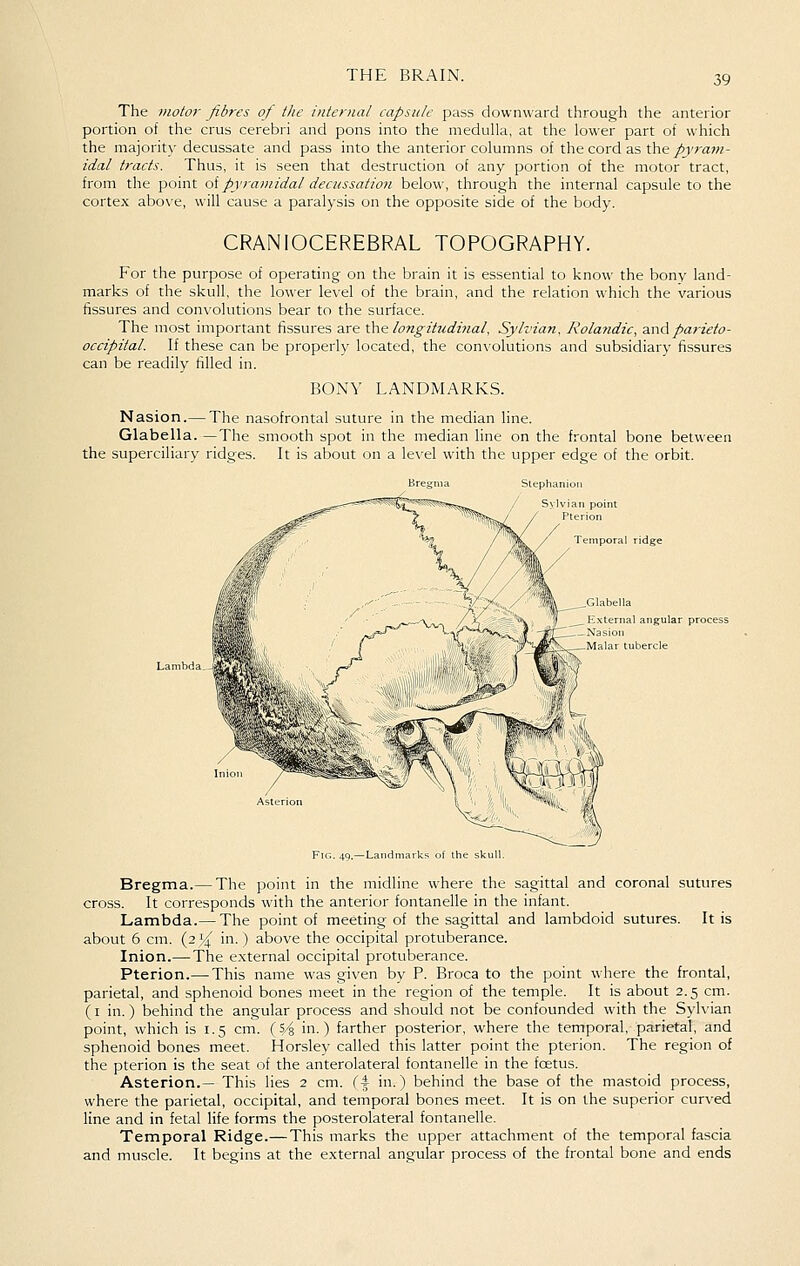The motor fibres of the internal eapsule pass downw^ard through the anterior portion of the crus cerebri and pons into the medulla, at the lower part of which the majority decussate and pass into the anterior columns of the cord as the pyram- idal tracts. Thus, it is seen that destruction of any portion of the motor tract, from the point oipyramidal decussation below, through the internal capsule to the cortex above, will cause a paralysis on the opposite side of the body. CRANIOCEREBRAL TOPOGRAPHY. For the purpose of operating on the brain it is essential to know the bony land- marks of the skull, the lower level of the brain, and the relation which the various fissures and convolutions bear to the surface. The most important fissures are x\\& longitudinal, Sylvian, Rolandic, 2i\\6iparieto- occipital. If these can be properly located, the convolutions and subsidiary fissures can be readily filled in. BONY LANDMARKS. Nasion.— The nasofrontal suture in the median line. Glabella. —The smooth spot in the median line on the frontal bone between the superciliary ridges. It is about on a le\-el with the upper edge of the orbit. Stepha Glabella \- \ternal angular process Lambda. J \,( (. Bregma.— The point in the midline where the sagittal and coronal sutures cross. It corresponds with the anterior fontanelle in the infant. Lambda.— The point of meeting of the sagittal and lambdoid sutures. It is about 6 cm. (2)^ in.) above the occipital protuberance. Inion.—The external occipital protuberance. Pterion.— This name was given by P. Broca to the point where the frontal, parietal, and sphenoid bones meet in the region of the temple. It is about 2.5 cm. (I in.) behind the angular process and should not be confounded with the Sylvian point, which is 1.5 cm. {i/^ in.) farther posterior, where the temporal, parietal, and sphenoid bones meet. Horsley called this latter point the pterion. The region of the pterion is the seat of the anterolateral fontanelle in the fcetus. Asterion.— This lies 2 cm. (4 in.) behind the base of the mastoid process, where the parietal, occipital, and temporal bones meet. It is on the superior curved line and in fetal life forms the posterolateral fontanelle. Temporal Ridge.— This marks the upper attachment of the temporal fascia and muscle. It begins at the external angular process of the frontal bone and ends