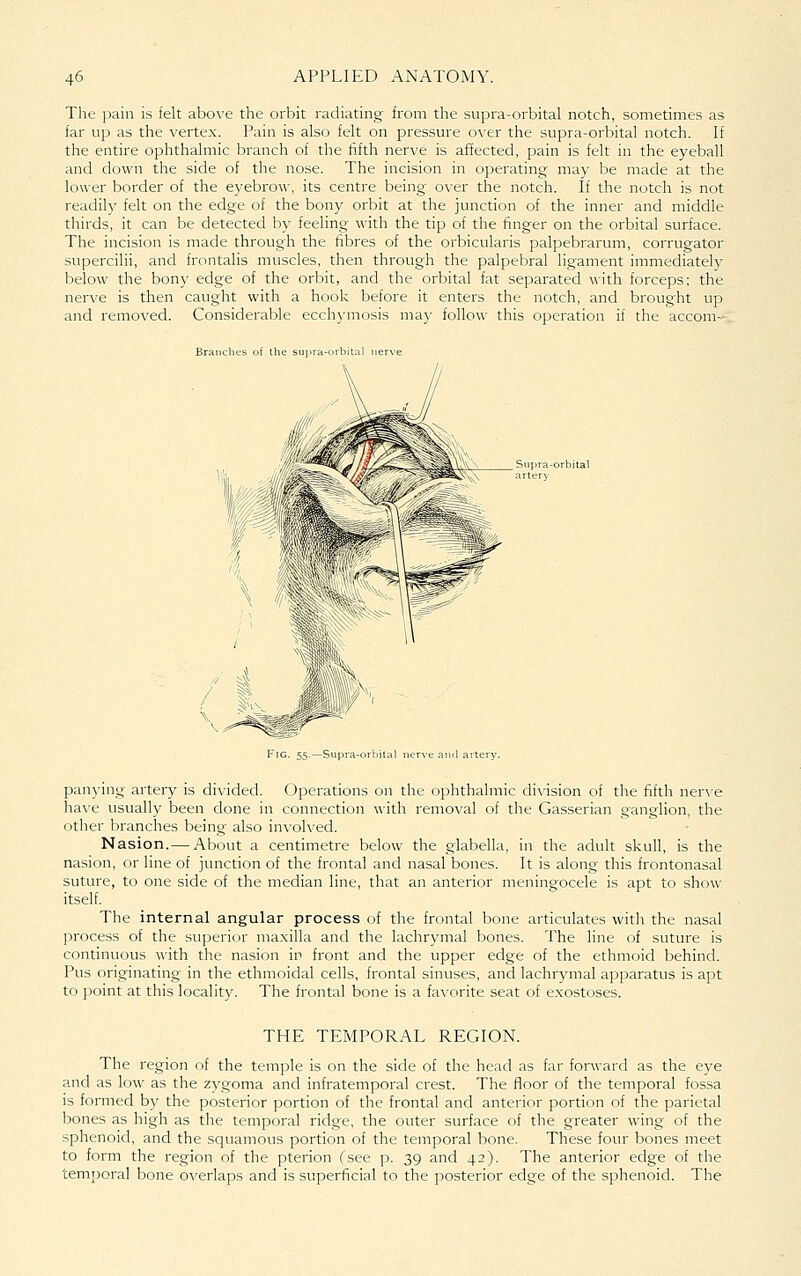 The pain is felt above the orbit radiating from the supra-orbital notch, sometimes as far up as the vertex. Pain is also felt on pressure over the supra-orbital notch. If the entire ophthalmic branch of the fifth nerve is affected, pain is felt in the eyeball and clown the side of the nose. The incision in operating may be made at the lower border of the eyebrow, its centre being over the notch. If the notch is not readily felt on the edge of the bony orbit at the junction of the inner and middle thirds, it can be detected by feeling with the tip of the finger on the orbital surface. The incision is made through the fibres of the orbicularis palpebrarum, corrugator supercilii, and frontalis muscles, then through the palpebral ligament immediately below the bony edge of the orbit, and the orbital fat separated with forceps; the nerve is then caught with a hook before it enters the notch, and brought up and removed. Considerable ecchymosis may follow this operation if the accom- FiG. 55.—Supra-orbital panying artery is divided. Operations on the ophthalmic division of the fifth ner\'e have usually been done in connection with removal of the Gasserian ganglion, the other branches being also involved. Nasion.— About a centimetre below the glabella, in the adult skull, is the nasion, or line of junction of the frontal and nasal bones. It is along this frontonasal suture, to one side of the median line, that an anterior menina^-ocele is apt to show itself. The internal angular process of the frontal bone articulates with the nasal process of the superior maxilla and the lachrymal bones. The line of suture is continuous with the nasion in front and the upper edge of the ethmoid behind. Pus originating in the ethmoidal cells, frontal sinuses, and lachr}rmal apparatus is apt to point at this locality. The frontal bone is a favorite seat of exostoses. THE TEMPORAL REGION. The region of the temple is on the side of the head as far forward as the eye and as low as the zygoma and infratemporal crest. The floor of the temporal fossa is formed by the posterior portion of the frontal and anterior portion of the parietal bones as high as the temporal ridge, the outer surface of the greater wing of the sphenoid, and the squamous portion of the temporal bone. These four bones meet to form the region of the pterion (see p. 39 and 42). The anterior edge of the temporal bone overlaps and is superficial to the posterior edge of the sphenoid. The