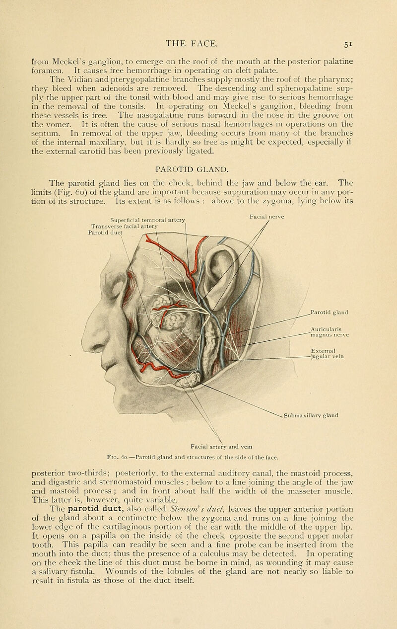 from Meckel's ganglion, to emerge on the roof of the mouth at the posterior palatine foramen. It causes free hemorrhage in operating on cleft palate. The Vidian and pterygopalatine branches supply mostly the roof of the pharynx; they bleed when adenoids are removed. The descending and sphenopalatine sup- ply the upper part of the tonsil with blood and may give rise to serious hemorrhage in the removal of the tonsils. In operating on Meckel's ganglion, bleeding from these vessels is free. The nasopalatine runs forward in the nose in the groove on the vomer. It is often the cause of serious nasal hemorrhages in operations on the septum. In removal of the upper jaw, bleeding occurs from many of the branches of the internal maxillary, but it is hardly so free as might be expected, especially if the external carotid has been previously ligated. PAROTID GLAND. The parotid gland lies on the cheek, behind the jaw and below the ear. The limits (Fig. 60) of the gland are important because suppuration may occur in any por- tion of its structure. Its extent is as follows : above to the zygoma, lying below its Superficial temporal artery Transverse facial artery ' Parotid duct ' Submaxillary gland Facial artery e Fig. 60.—Parotid gland and structures of the side of the face. posterior two-thirds; posteriorly, to the external auditory canal, the mastoid process, and digastric and sternomastoid muscles ; below to a line joining the angle of the jaw and mastoid process ; and in front about half the width of the masseter muscle. This latter is, however, quite variable. The parotid duct, also called Stenson's duct, leaves the upper anterior portion of the gland about a centimetre below the zygoma and runs on a line joining the lower edge of the cartilaginous portion of the ear with the middle of the upper lip. It opens on a papilla on the inside of the cheek opposite the second upper molar tooth. This papilla can readily be seen and a fine probe can be inserted from the mouth into the duct; thus the presence of a calculus may be detected. In operating on the cheek the line of this duct must be borne in mind, as wounding it may cause a salivary fistula. Wounds of the lobules of the gland are not nearly so liable to result in fistula as those of the duct itself.