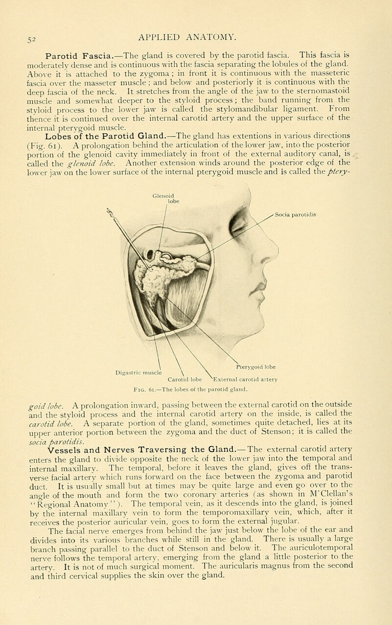 Parotid Fascia.—The gland is covered by the parotid fascia. This fascia is moderately dense and is continuous with the fascia separating the lobules of the gland. Above it is attached to the zygoma ; in front it is continuous with the masseteric fascia over the masseter muscle ; and below and posteriorly it is continuous with the deep fascia of the neck. It stretches from the angle of the jaw to the sternomastoid muscle and somewhat deeper to the styloid process ; the band running from the styloid process to the lower jaw is called the stylomandibular ligament. From thence it is continued over the internal carotid artery and the upper surface of the internal pterygoid muscle. Lobes of the Parotid Gland.—The gland has e.xtentions in various directions (Fig. 6i). A prolongation behind the articulation of the lower jaw, into the posterior portion of the glenoid cavity immediately in front of the e.xternal auditory canal, is . called the glenoid lobe. Another extension winds around the posterior edge of the lower jaw on the lower surface of the internal pterygoid muscle and is called \h& ptery- Pterygoid lobe Digastric muscle \ \ Carotid lobe External carotid arteiA' Fig. 6i.—The lobes of the parotid gland. goid lobe. A prolongation inward, passing between the external carotid on the outside and the styloid process and the internal carotid artery on the inside, is called the carotid lobe. A separate portion of the gland, sometimes quite detached, lies at its upper anterior portion between the zygoma and the duct of Stenson; it is called the socia parotidis. Vessels and Nerves Traversing the Gland.— The external carotid artery enters the gland to di\'ide opposite the neck of the lower jaw into the temporal and internal maxillary. The temporal, before it leaves the gland, gives off the trans- verse facial artery which runs forward on the face between the zygoma and parotid duct. It is usually small but at times may be quite large and even go over to the angle of the mouth and form the two coronary arteries (as shown in M'CleUan's Regional Anatomy ). The temporal vein, as it descends into the gland, is joined by the internal maxillary vein to form the temporomaxillary vein, which, after it receives the posterior auricular vein, goes to form the external jugular. The facial nerve emerges from behind the jaw just below the lobe of the ear and divides into its various branches while still in the gland. There is usually a large branch passing parallel to the duct of Stenson and below it. The auriculotemporal nerve follows the temporal artery, emerging from the gland a little posterior to the artery. It is not of much surgical moment. The auricularis magnus from the second and third cervical supplies the skin over the gland.
